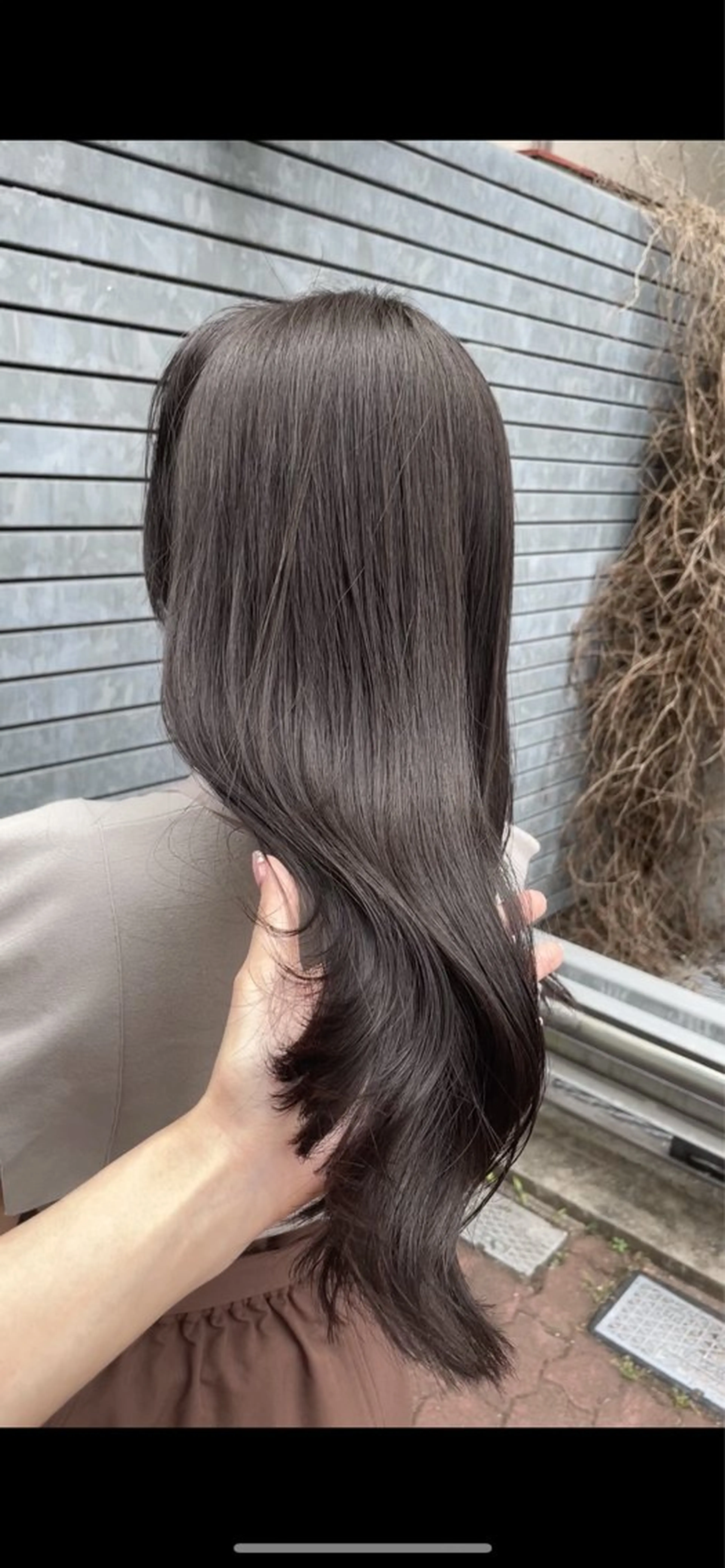 ロング カラー ダークグレー ダークグレージュ グレージュ オリーブカラー オリーブグレージュ カット ヘアカラー トリートメント BEBE所属・ご新規様限定 透明感カラーKANAのヘアスタイル