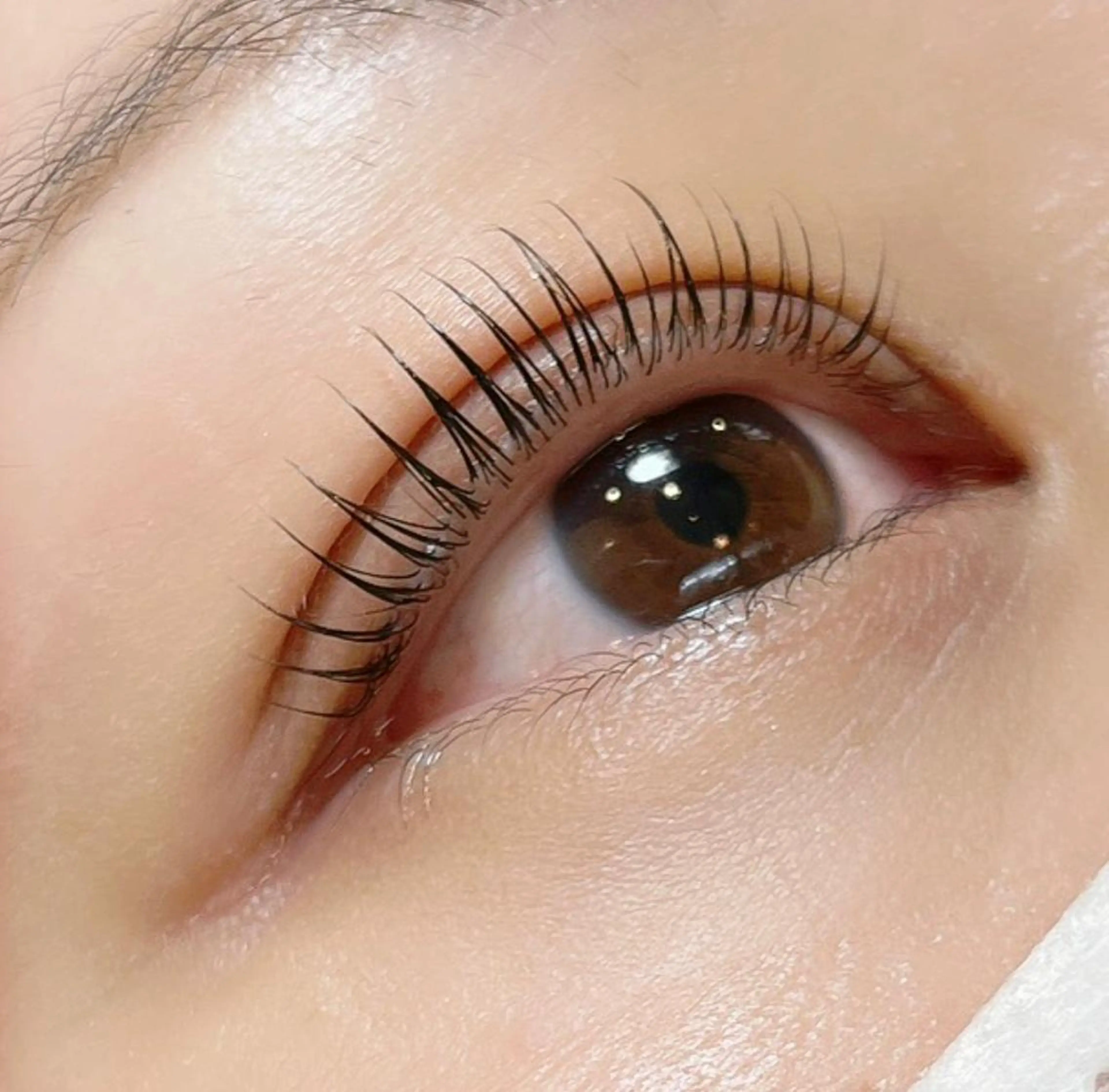 マツエク・マツパ パリジェンヌラッシュリフト eyelist ⌇ minami 𖠚ᐝのマツエク・マツパデザイン
