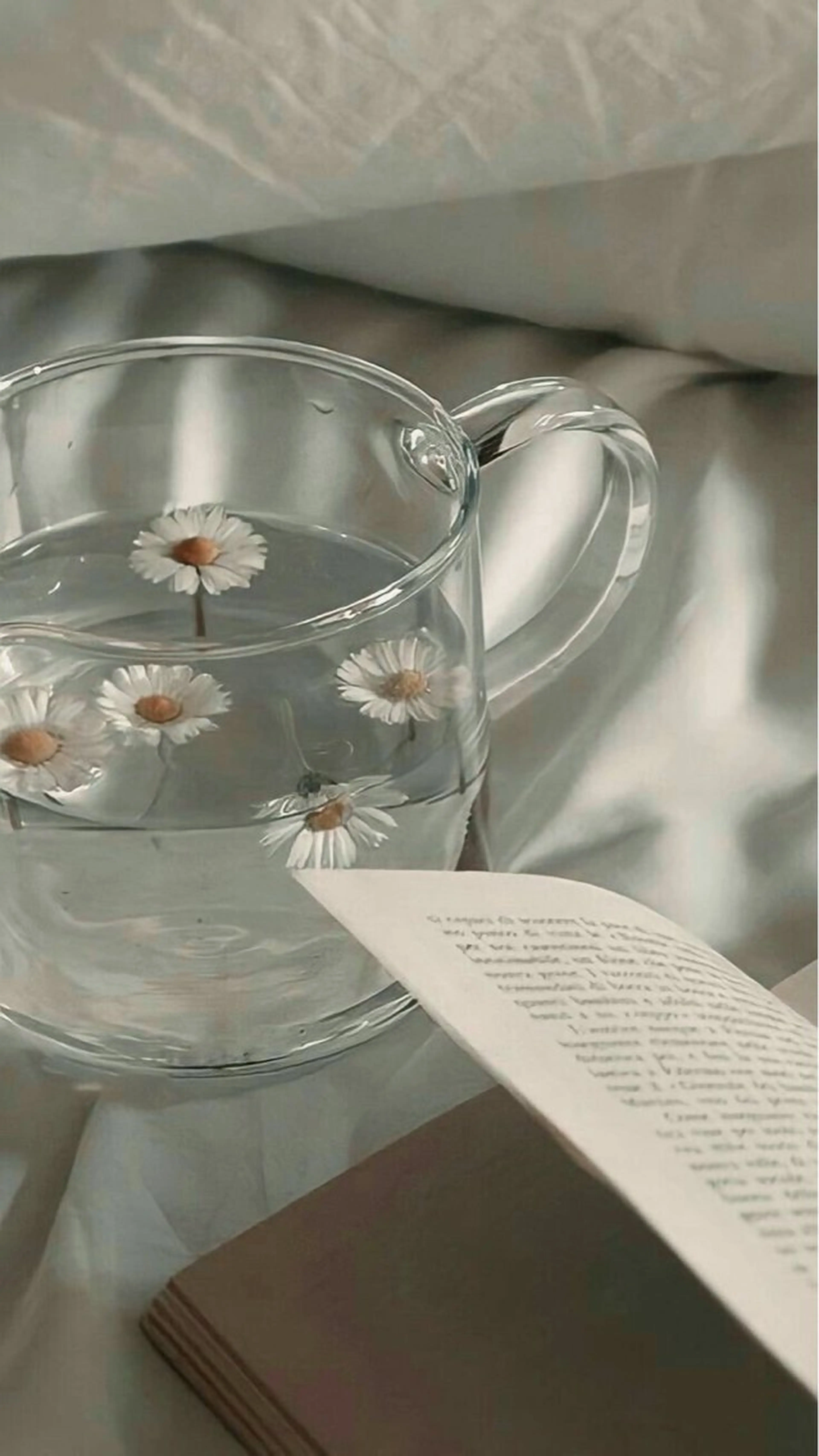 SSINSTUDIO 野口の眉毛・アイブロウイメージ