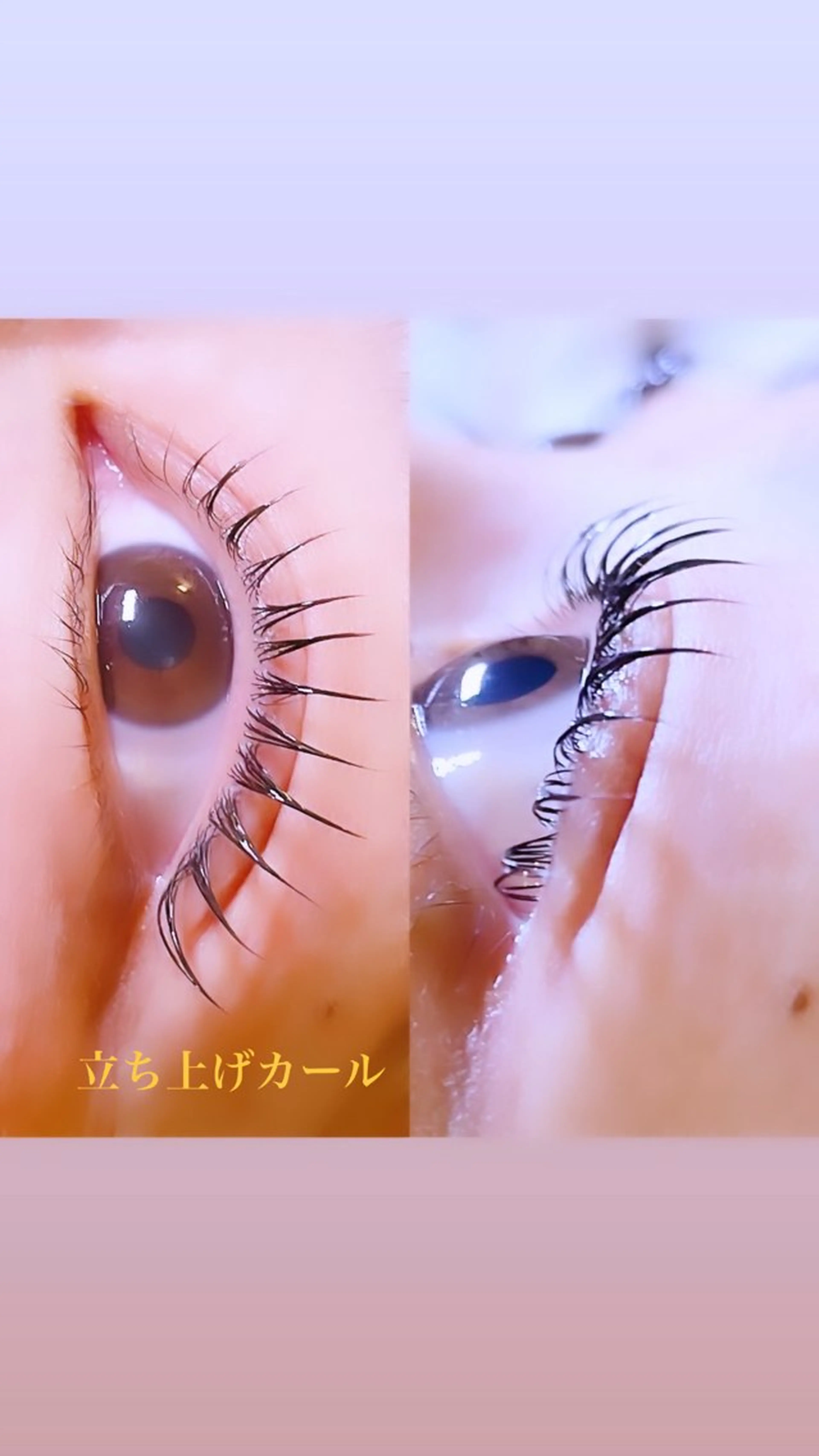 マツエク・マツパ ケラチンラッシュリフト 束感まつ毛 ロニセラ アイラッシュのマツエク・マツパデザイン