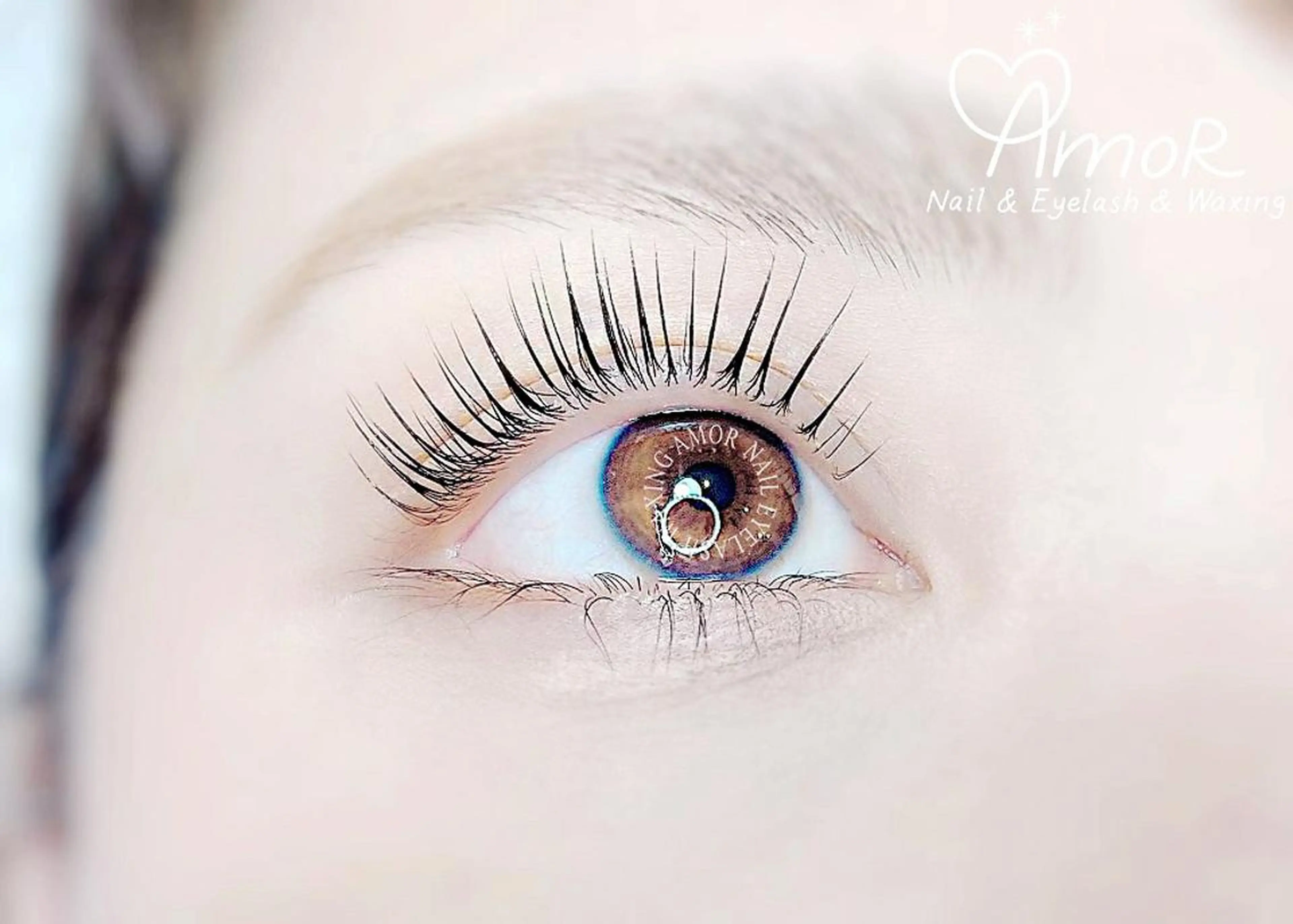 マツエク・マツパ アイブロウ Amor所属・AMOR EYELASHのマツエク・マツパデザイン