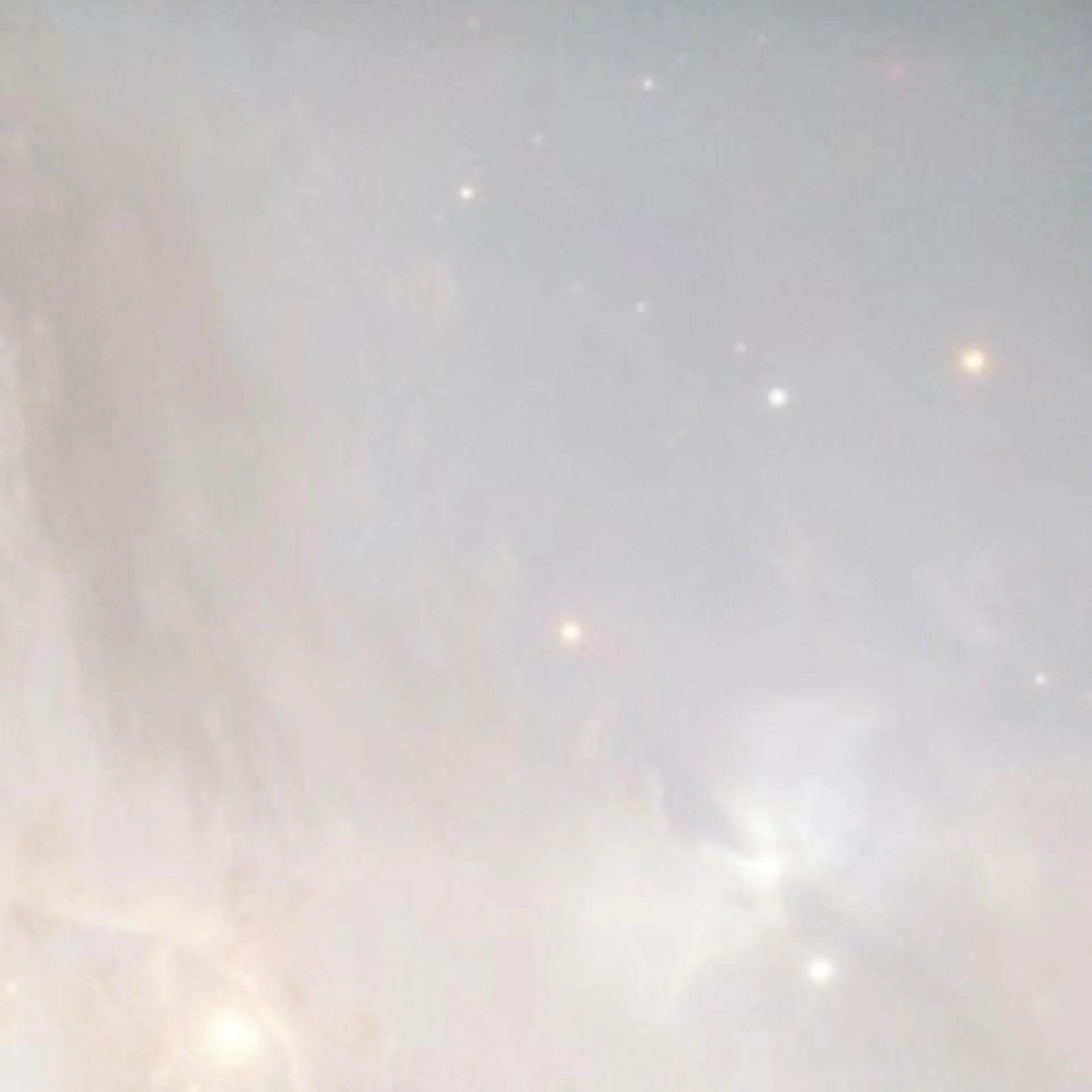 ネイル nicolenail /emureのネイルデザイン