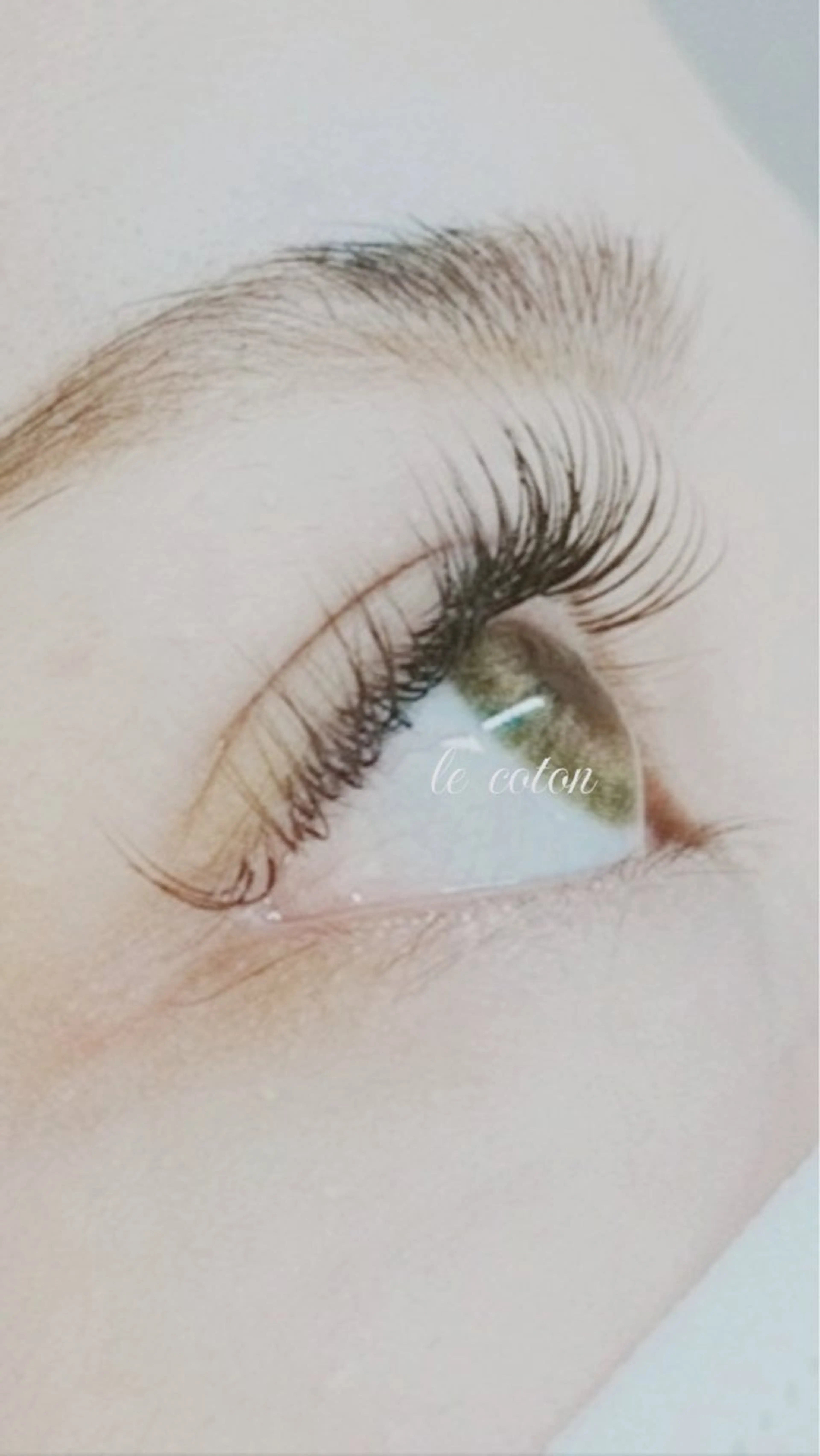 セーブルフラットラッシュ100​〜​120本（オフ込み+アイシャンプー付き）の写真