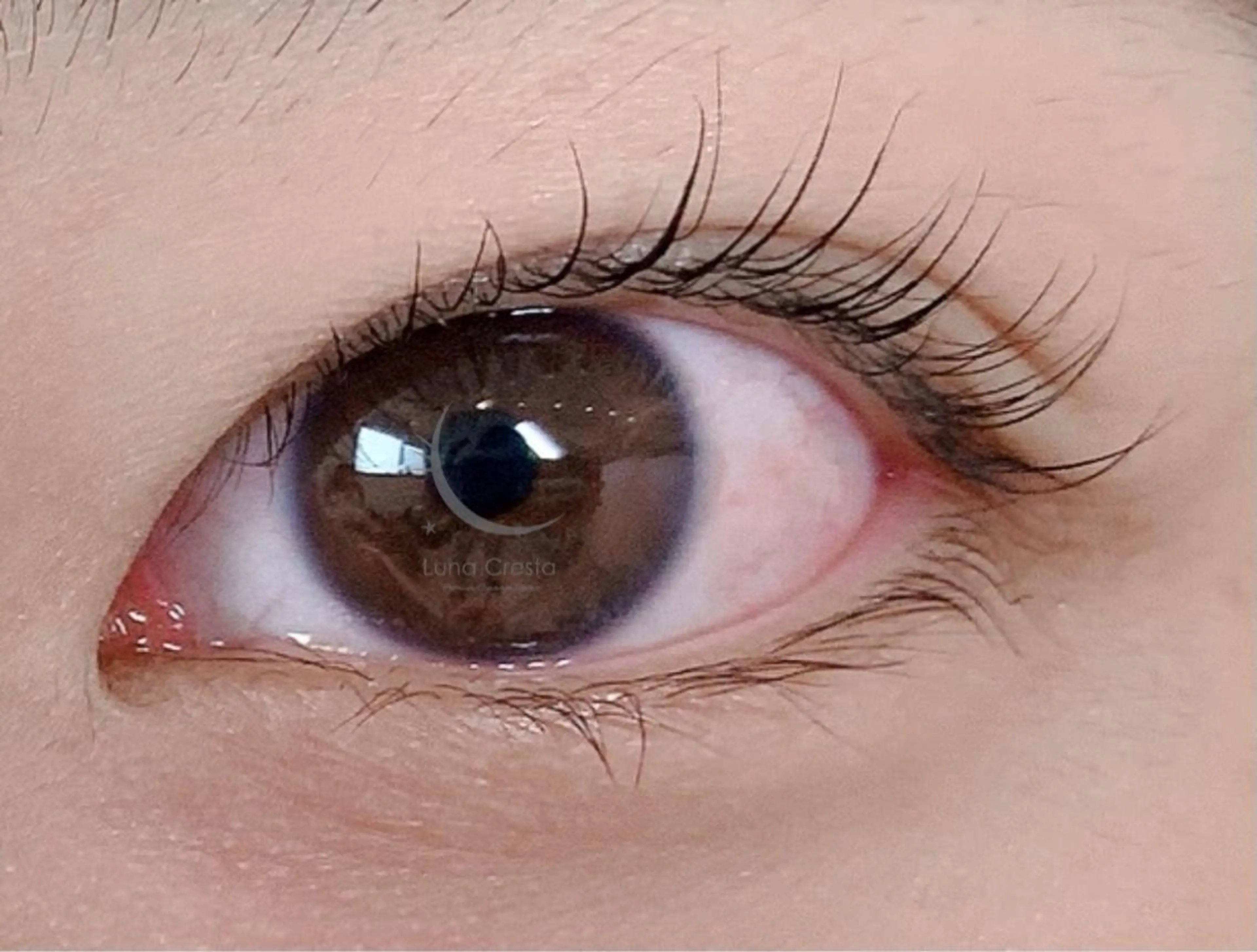 マツエク・マツパ 一重×まつ毛パーマ 岡部 梢の眉毛・アイブロウイメージ