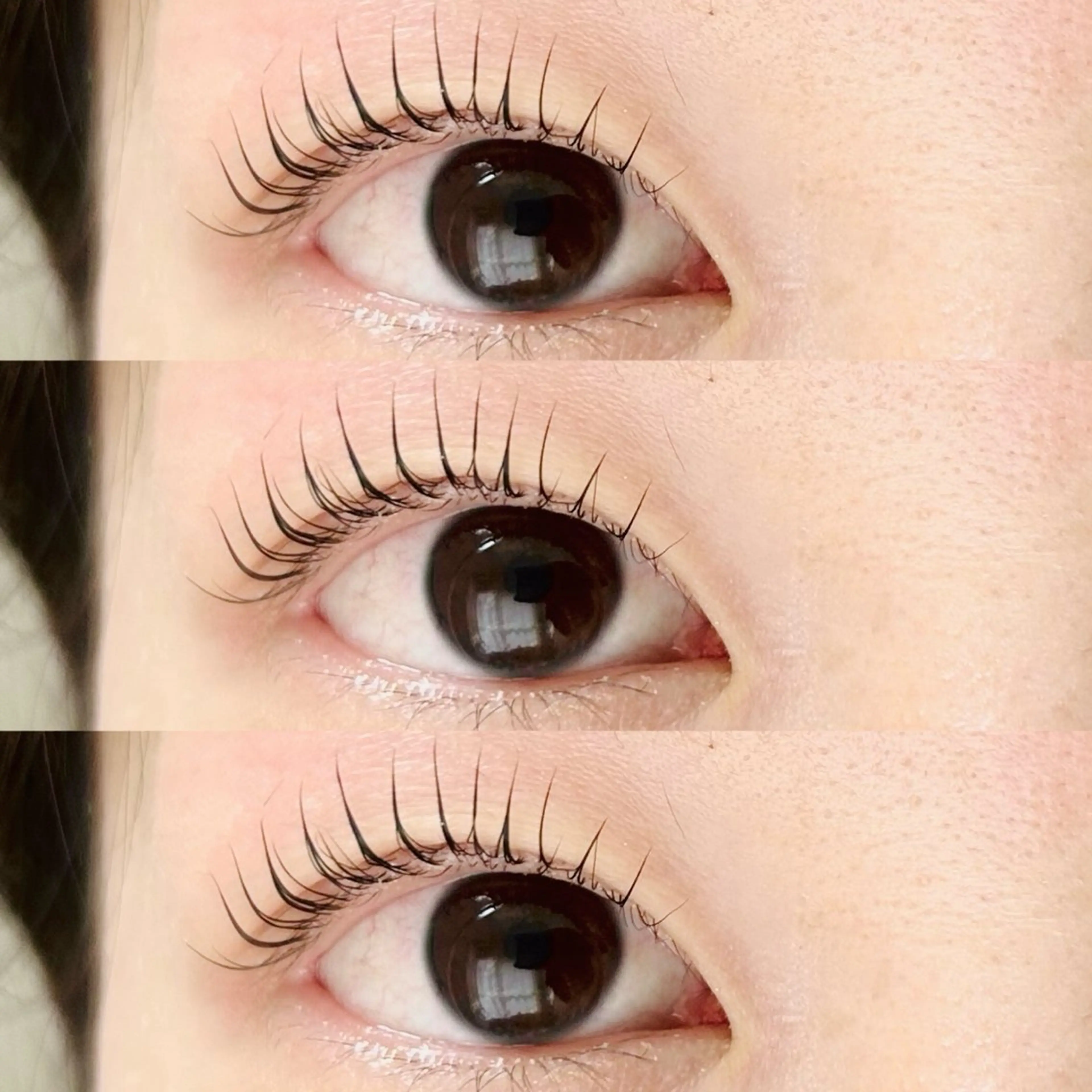 マツエク・マツパ Lカール siieyelash 鷺沼店HONOKAのマツエク・マツパデザイン