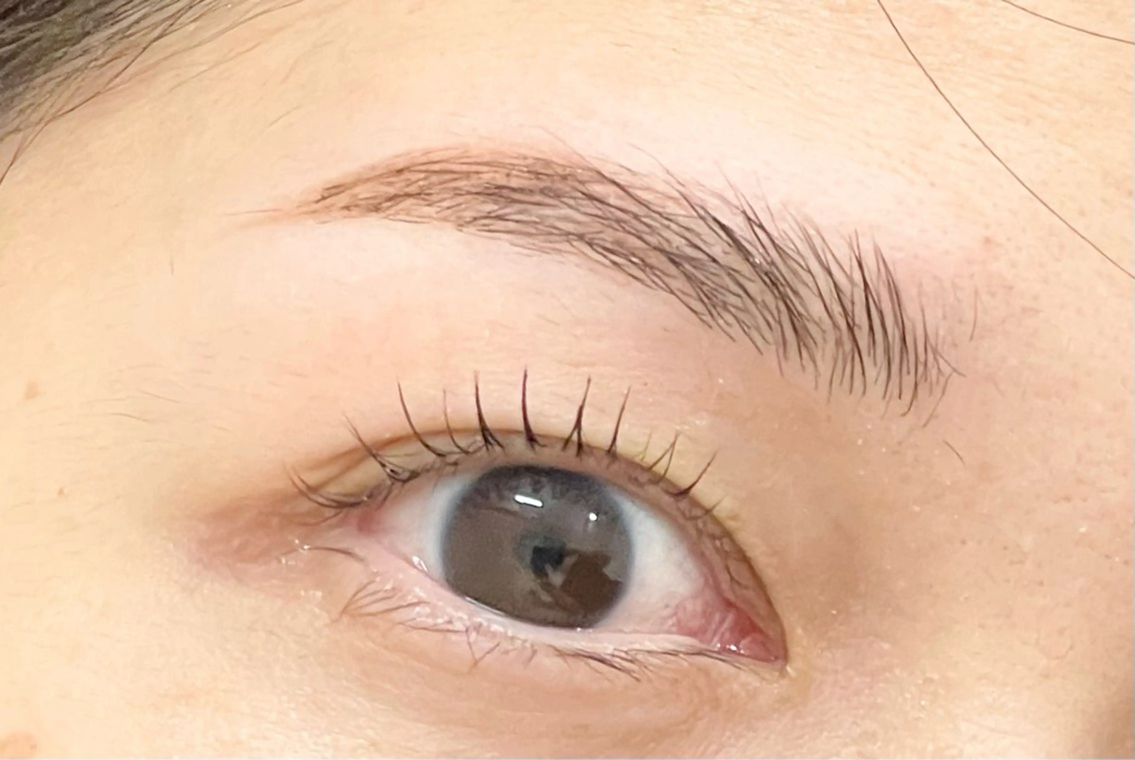 マツエク・マツパ まつげパーマ マツパ Belka Lash＆Relax所属・ベルカ新小岩まつ毛 LEDエクステのマツエク・マツパデザイン