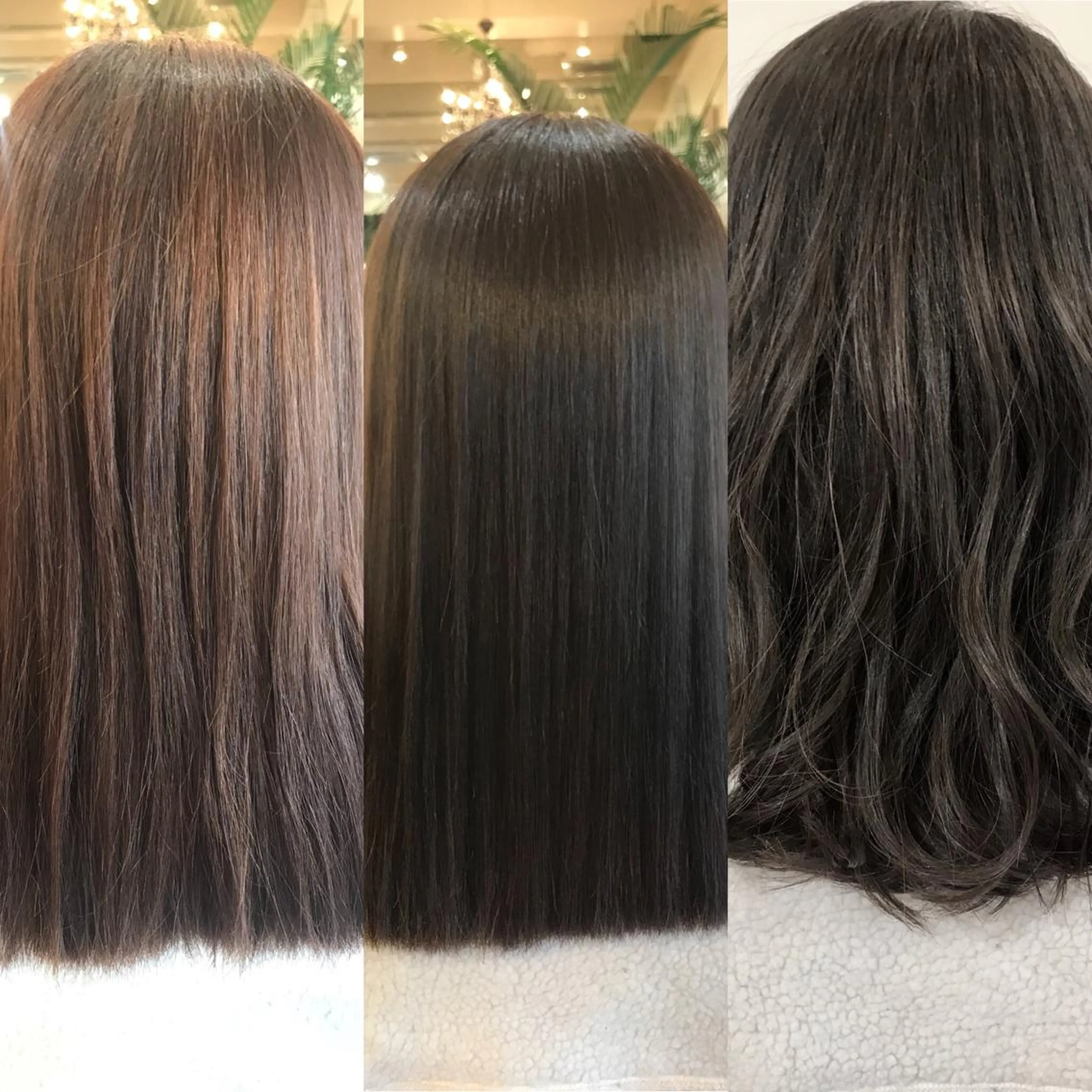 ミディアム カラー アッシュ ダークアッシュ MARDI GRAS 蘭丸のヘアスタイル