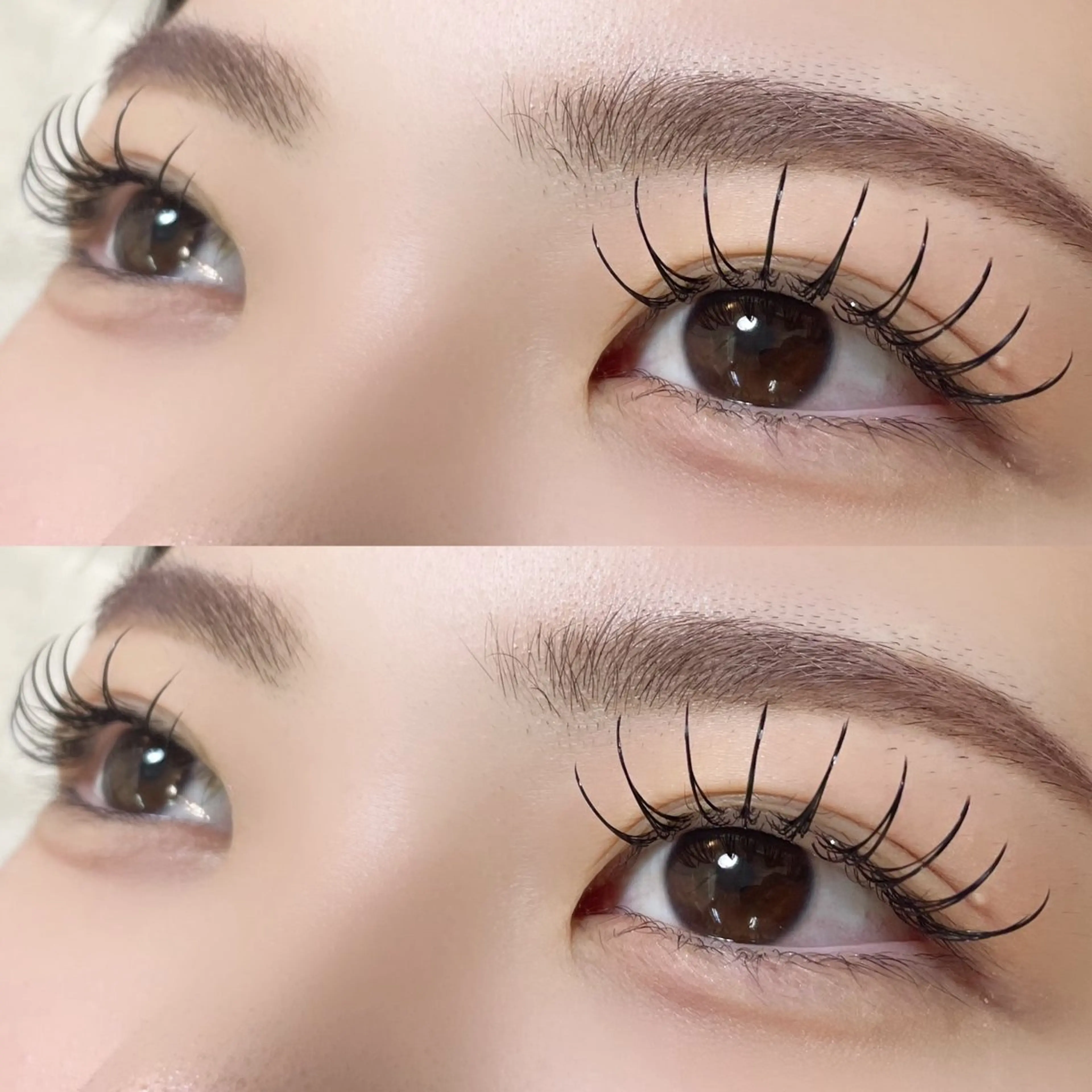 11/14 10時限定!!🌻ダブルフラットラッシュ80-100束🌻オフなし付け足し不可の写真