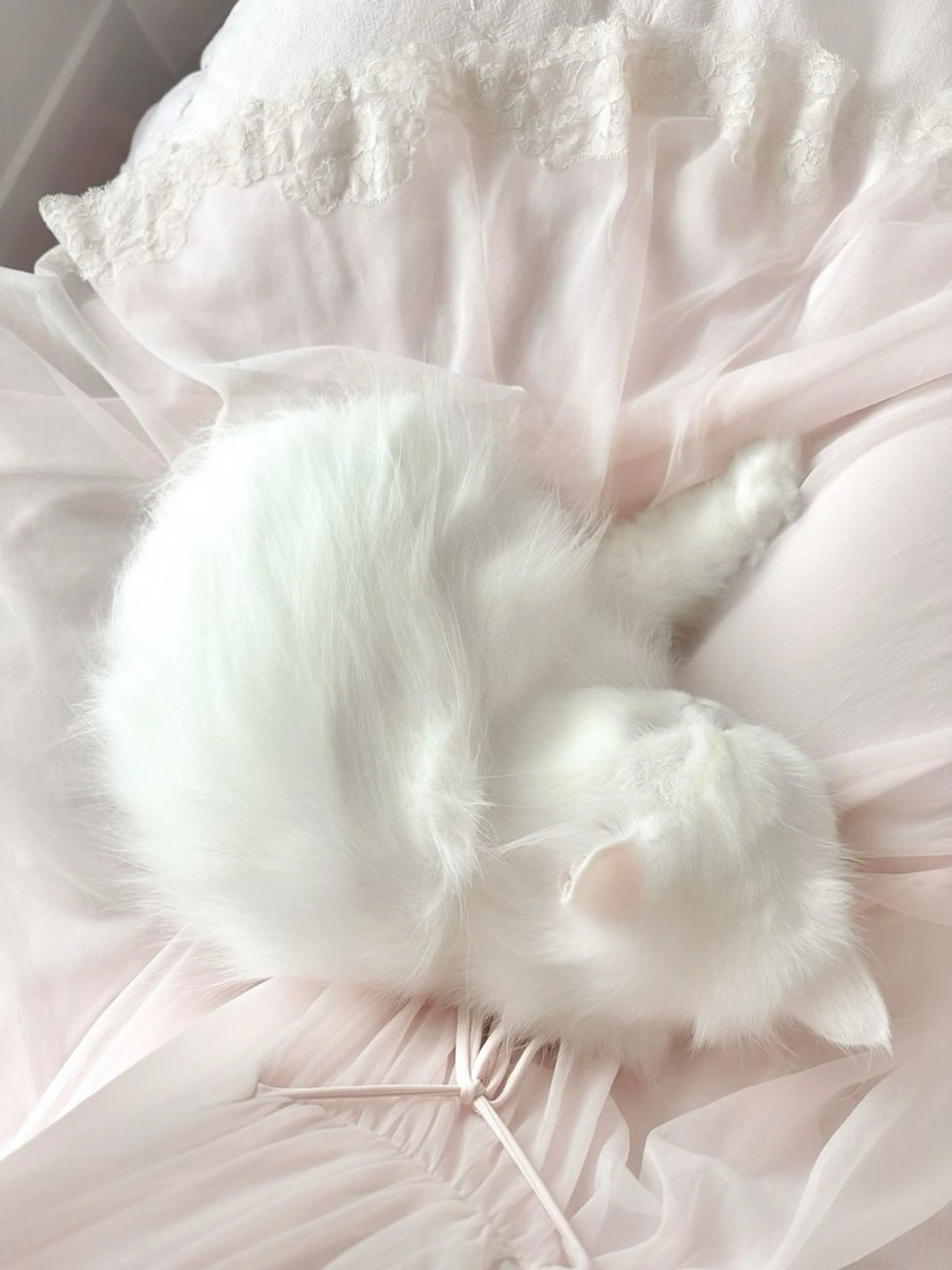 マツエク・マツパ 🩶束感まつ毛パーマ /nanakoのマツエク・マツパデザイン