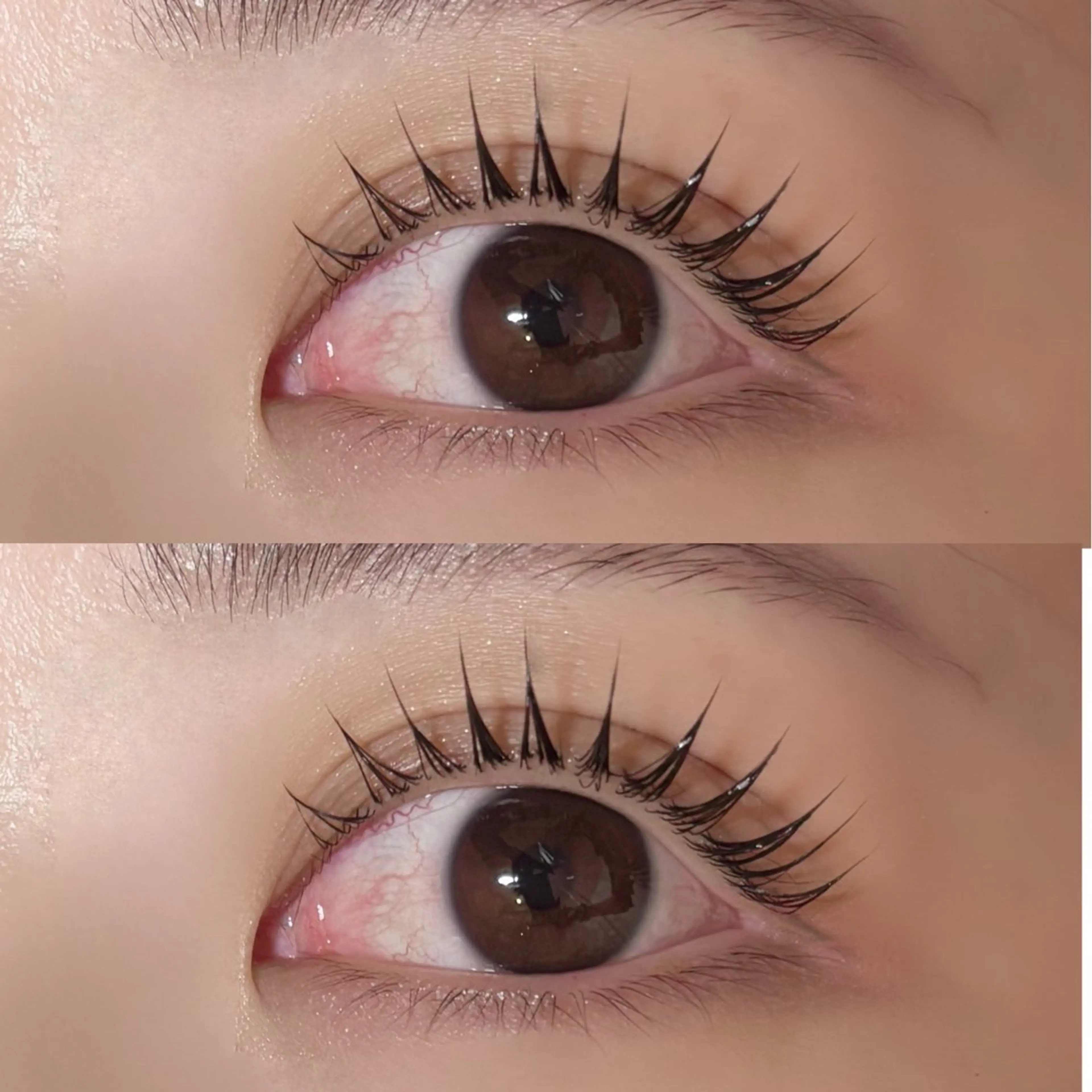 マツエク・マツパ パリジェンヌラッシュリフト Lupines Asahi🔆のマツエク・マツパデザイン