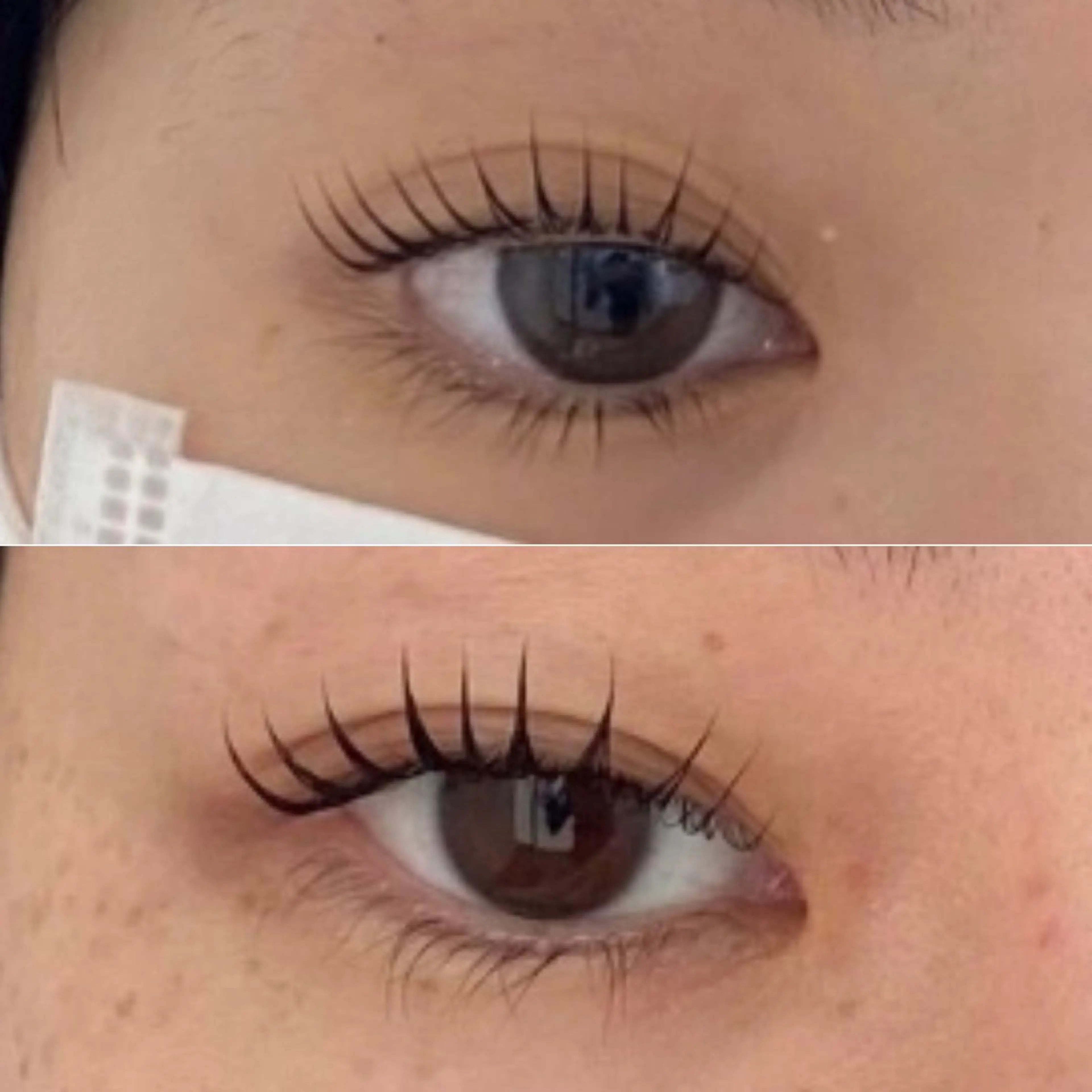 マツエク・マツパ ChuLa eyelash&eyebrow 春日部店所属・🫧ChuLa 春日部店🫧の眉毛・アイブロウイメージ