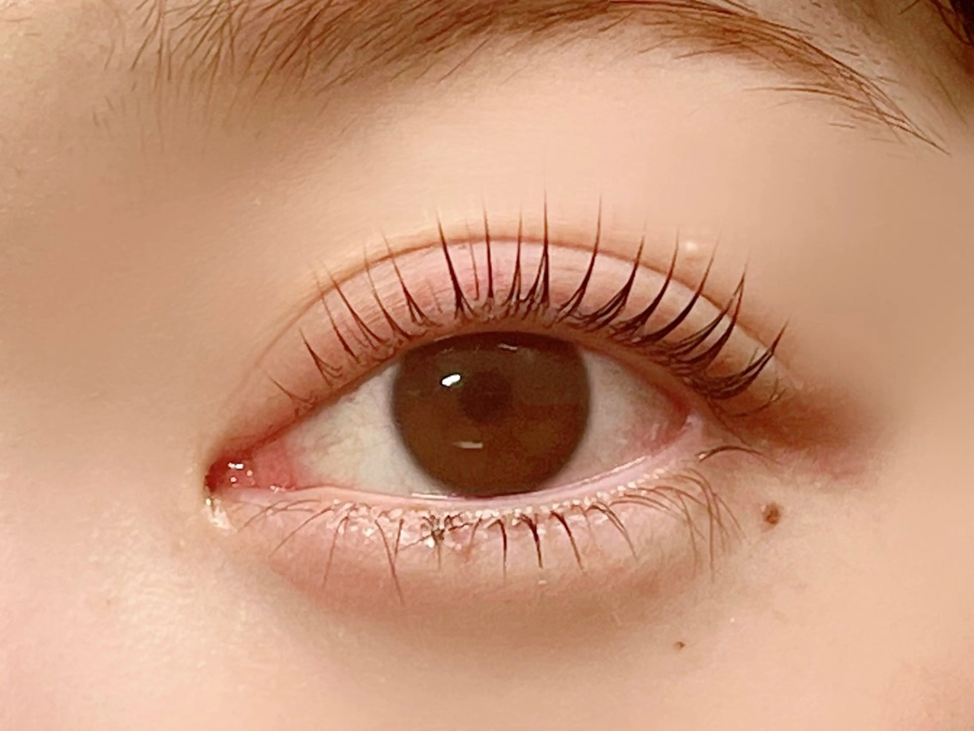 マツエク・マツパ マツパ Rinto/ makoのマツエク・マツパデザイン