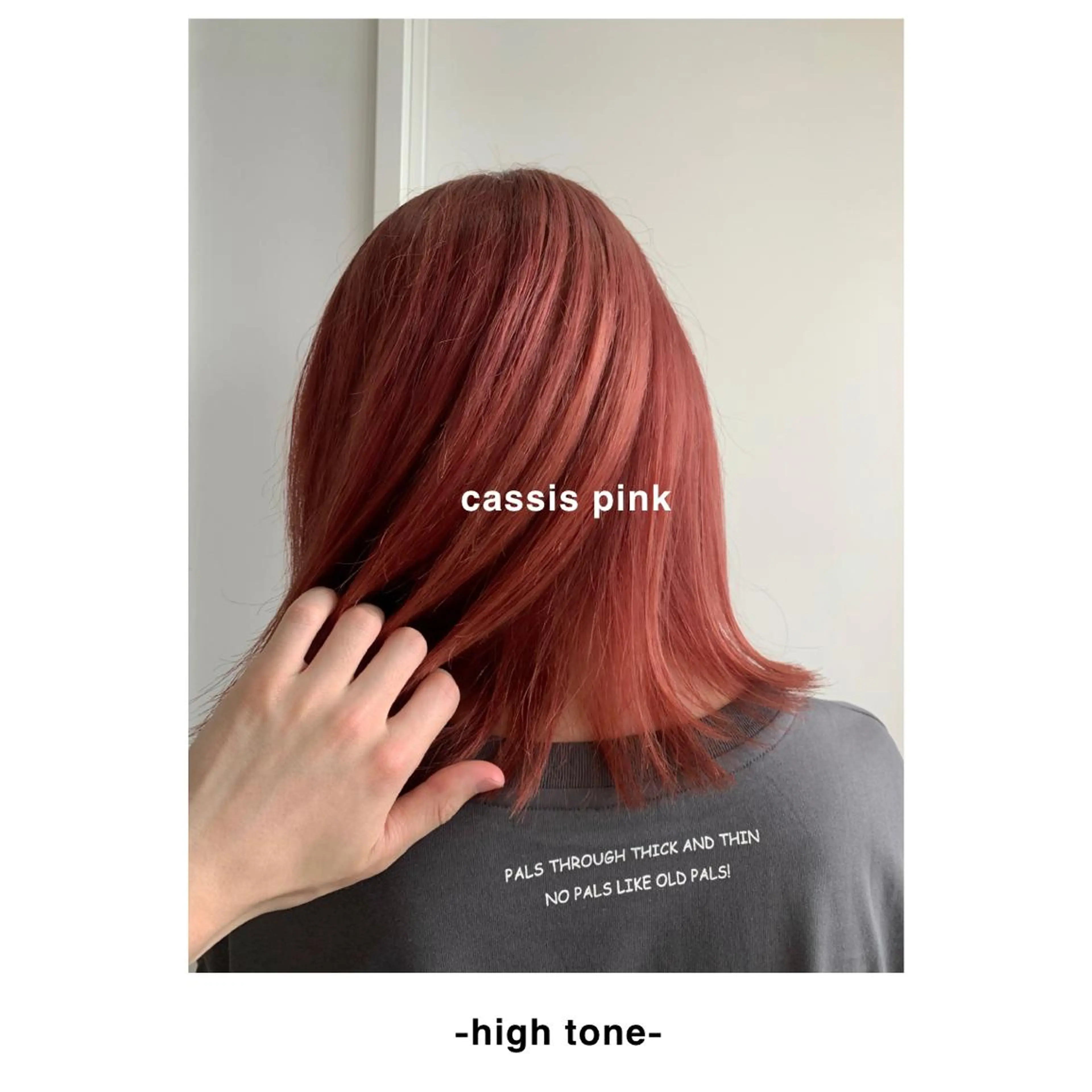 カラー カシス ハイトーンカラー ピンクカラー カット ヘアカラー トリートメント loka所属・山本 晶大のヘアスタイル
