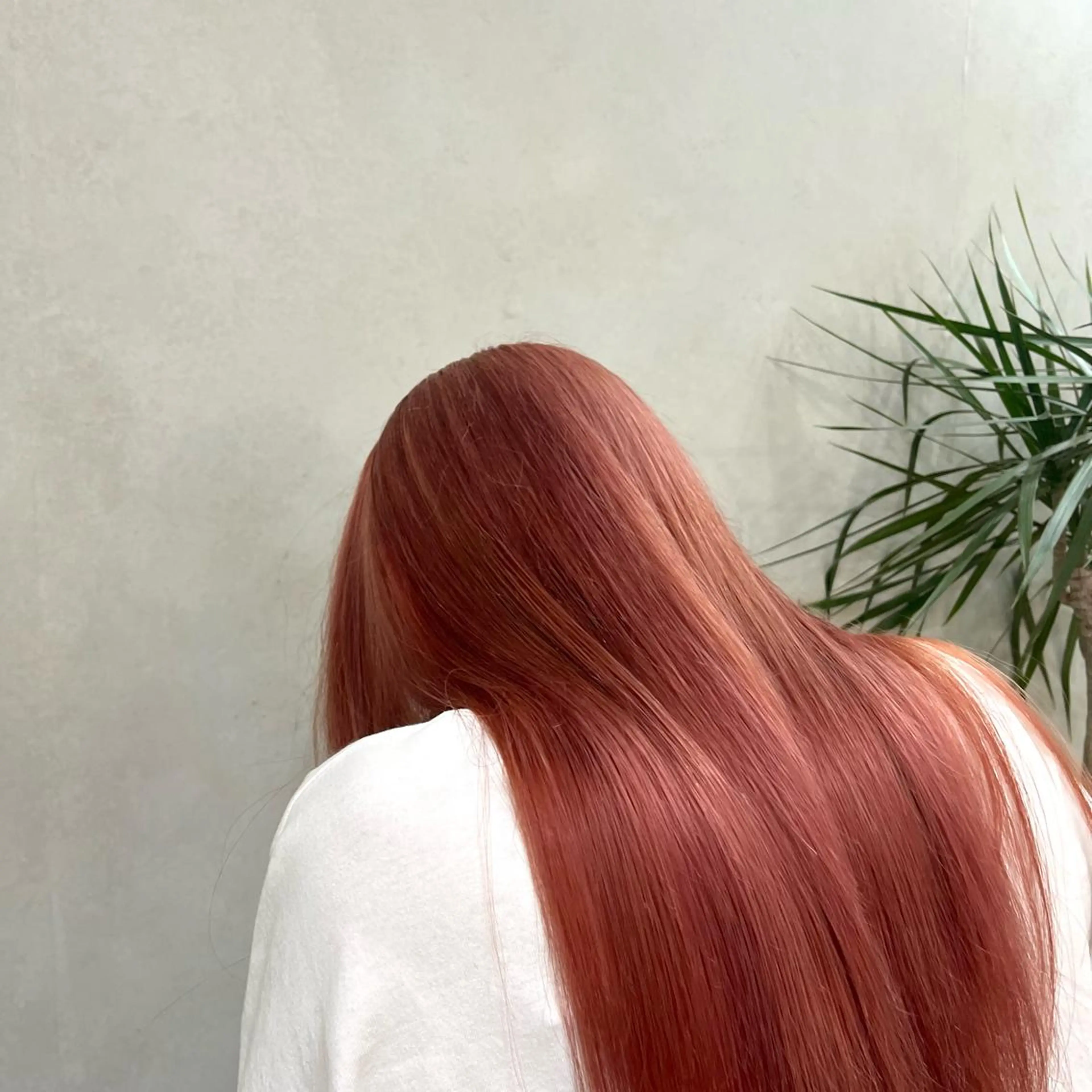 【最高峰のケアを】カット+質感再生カラー+最高級バイカルテトリートメント19980円の写真