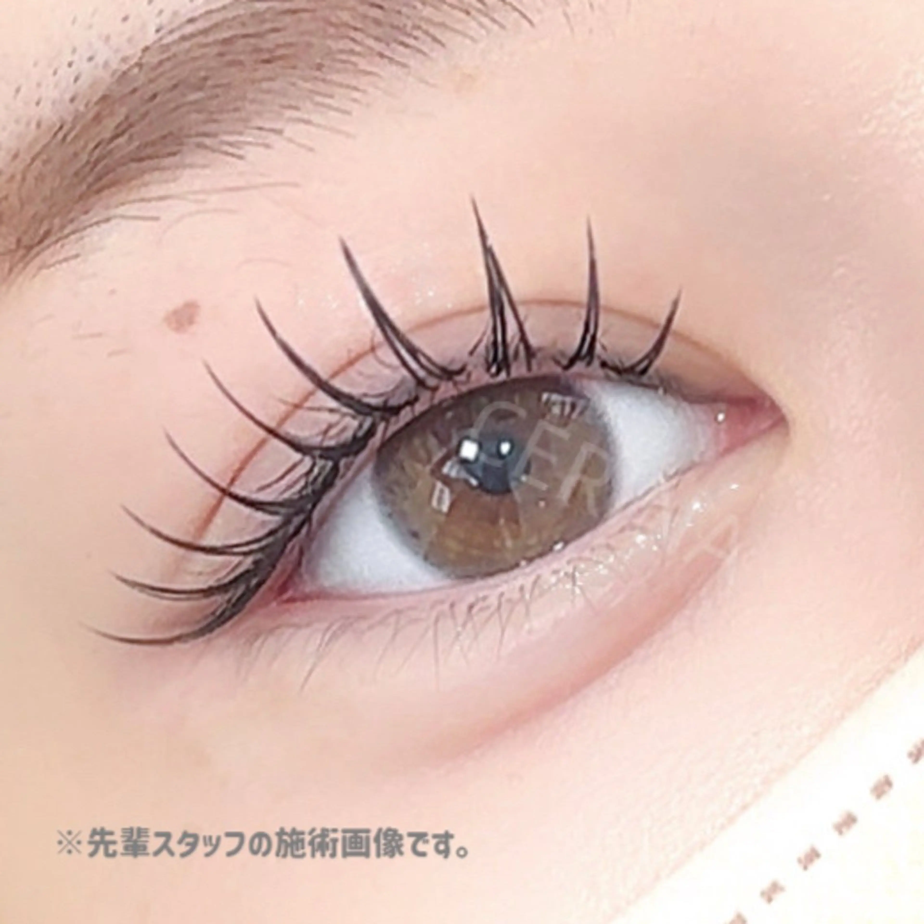 フラットラッシュ(オフなし)50本程度の写真