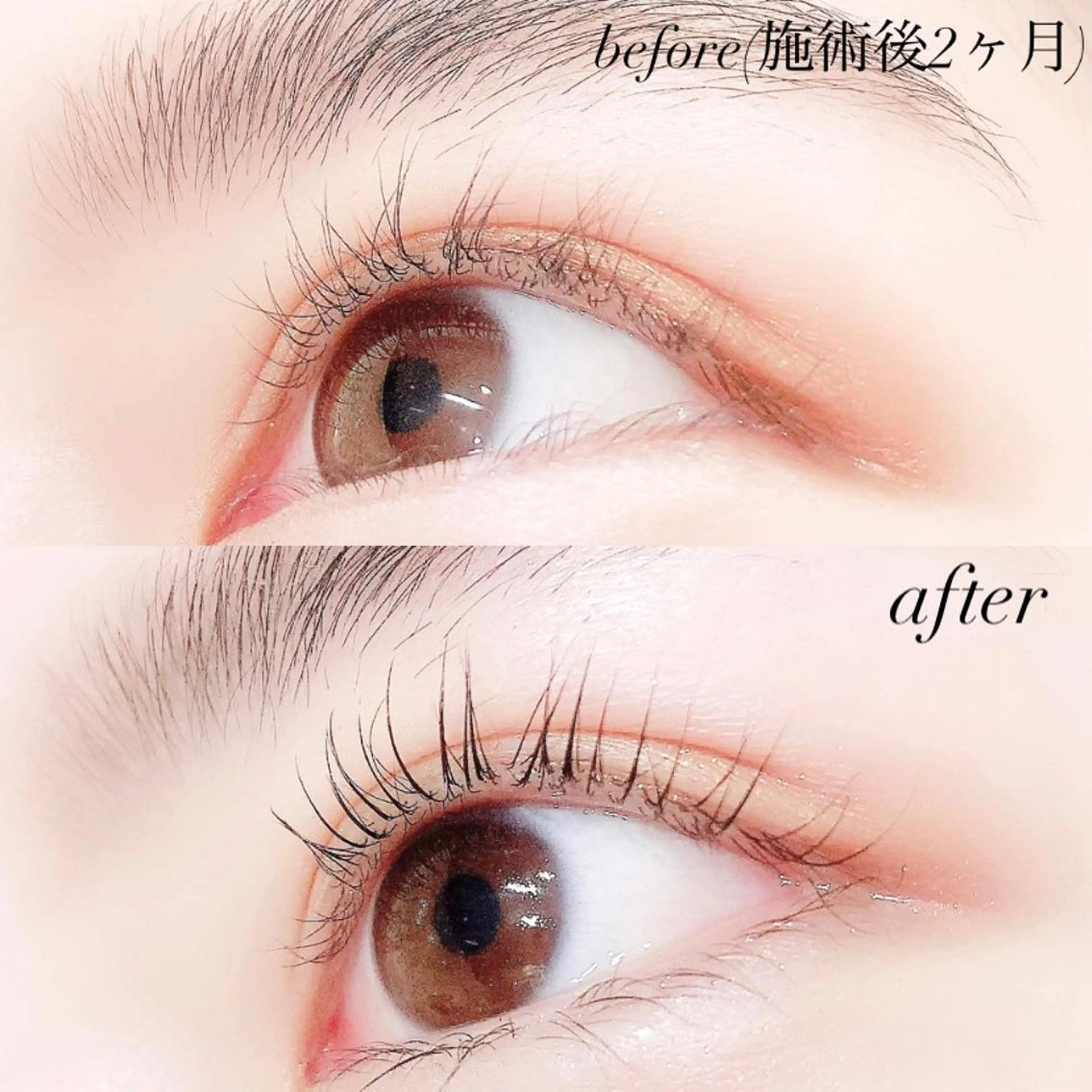 マツエク・マツパ 一重×まつ毛パーマ Lanhr所属・【Lanhr】 🕊aya🕊のマツエク・マツパデザイン