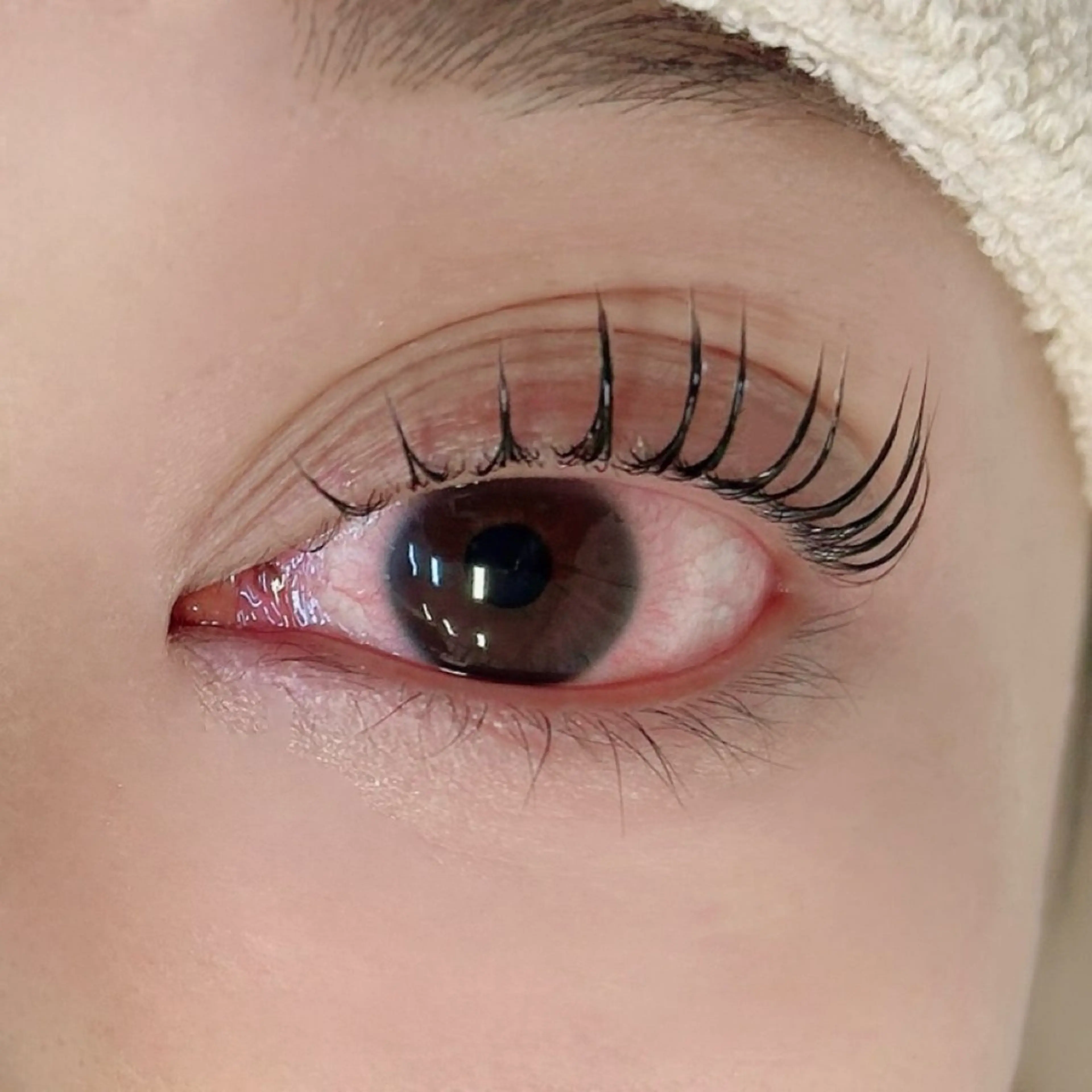 マツエク・マツパ パリジェンヌラッシュリフト Kurosawa 当日直前予約可◎のマツエク・マツパデザイン