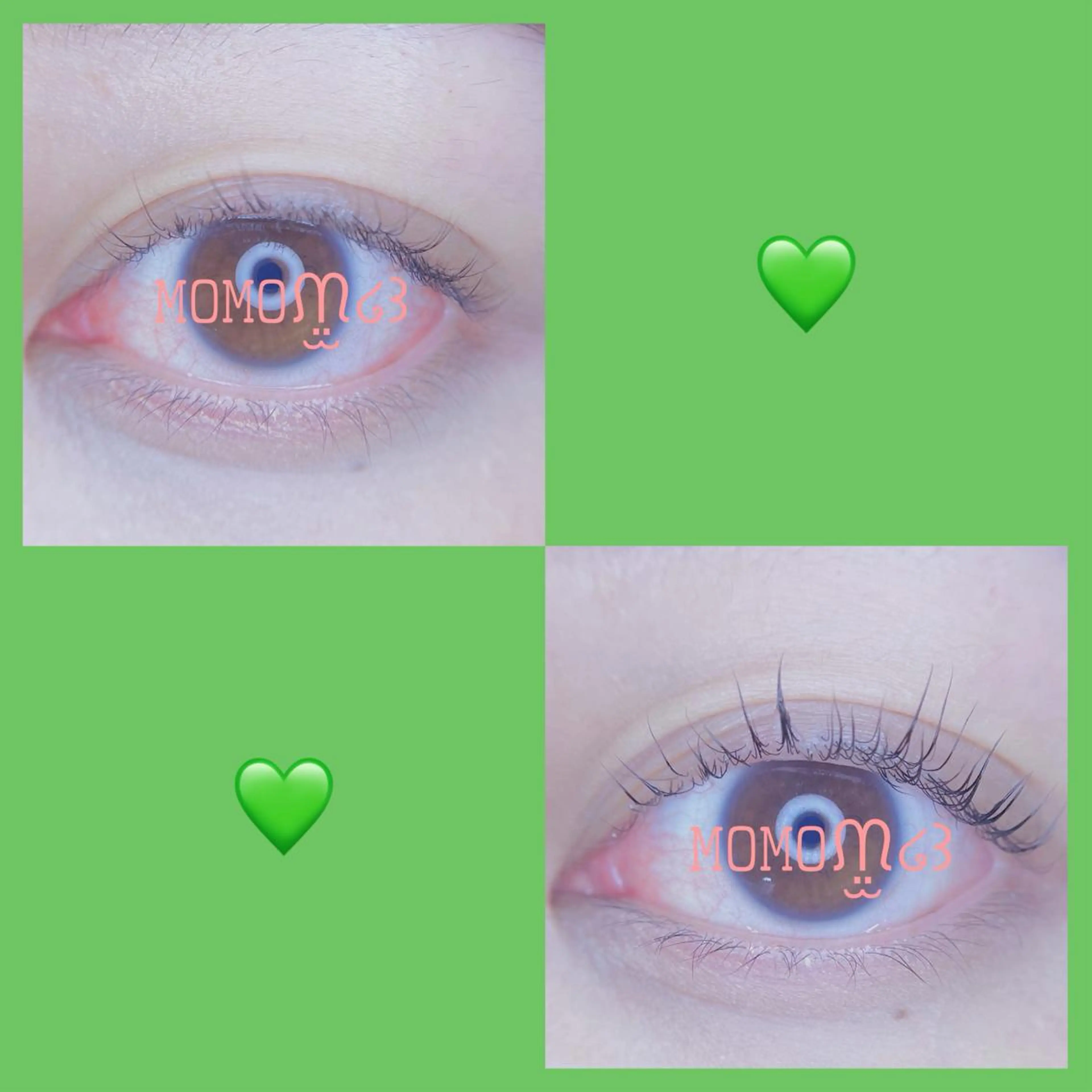 マツエク・マツパ フラットラッシュ ナチュラル パリジェンヌラッシュリフト 下まつげエクステ 一重×まつ毛パーマ Maia salon モモ🍑のマツエク・マツパデザイン
