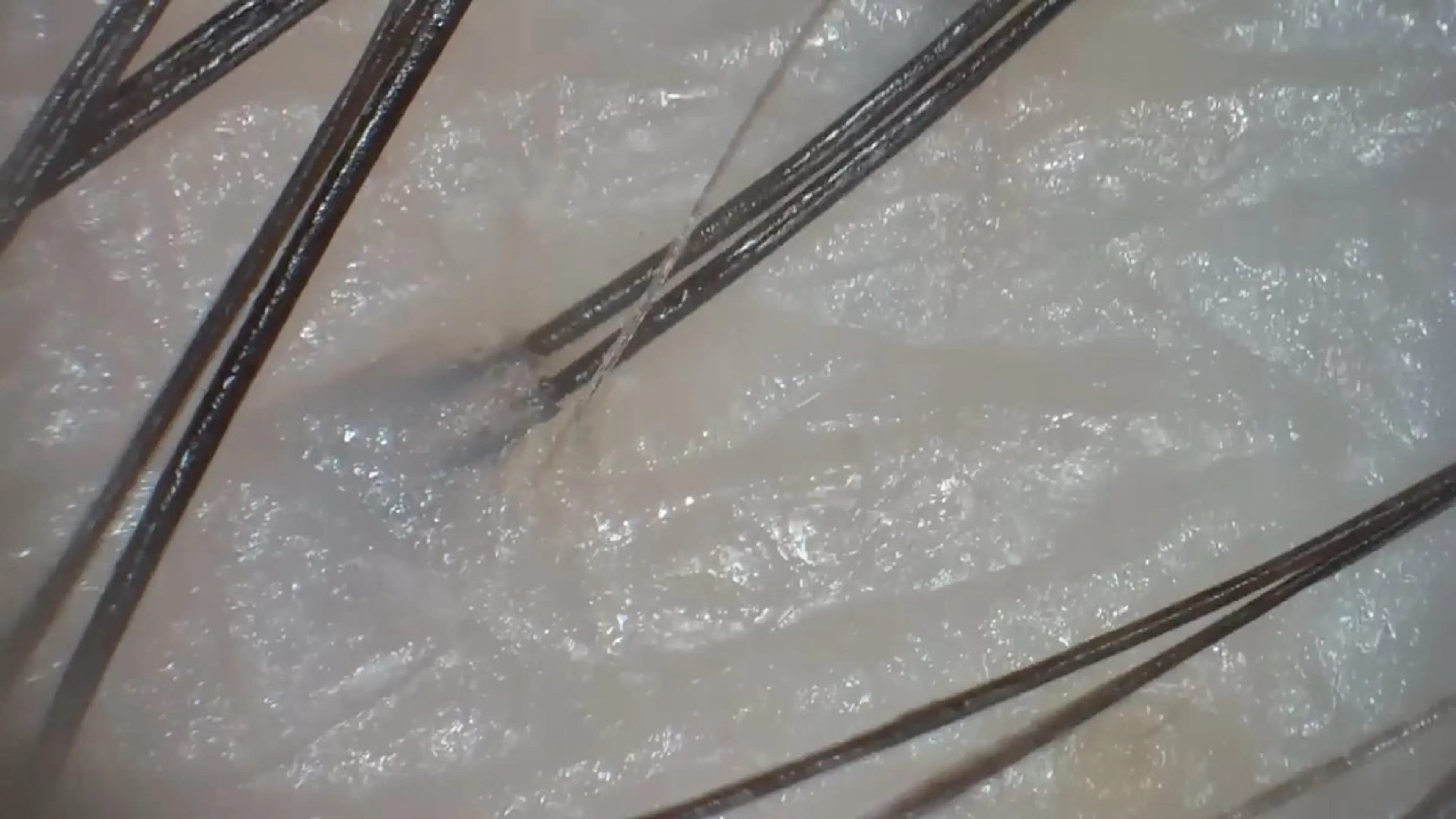 SOAR  SALON所属・ソア サロンのエステ・リラクイメージ