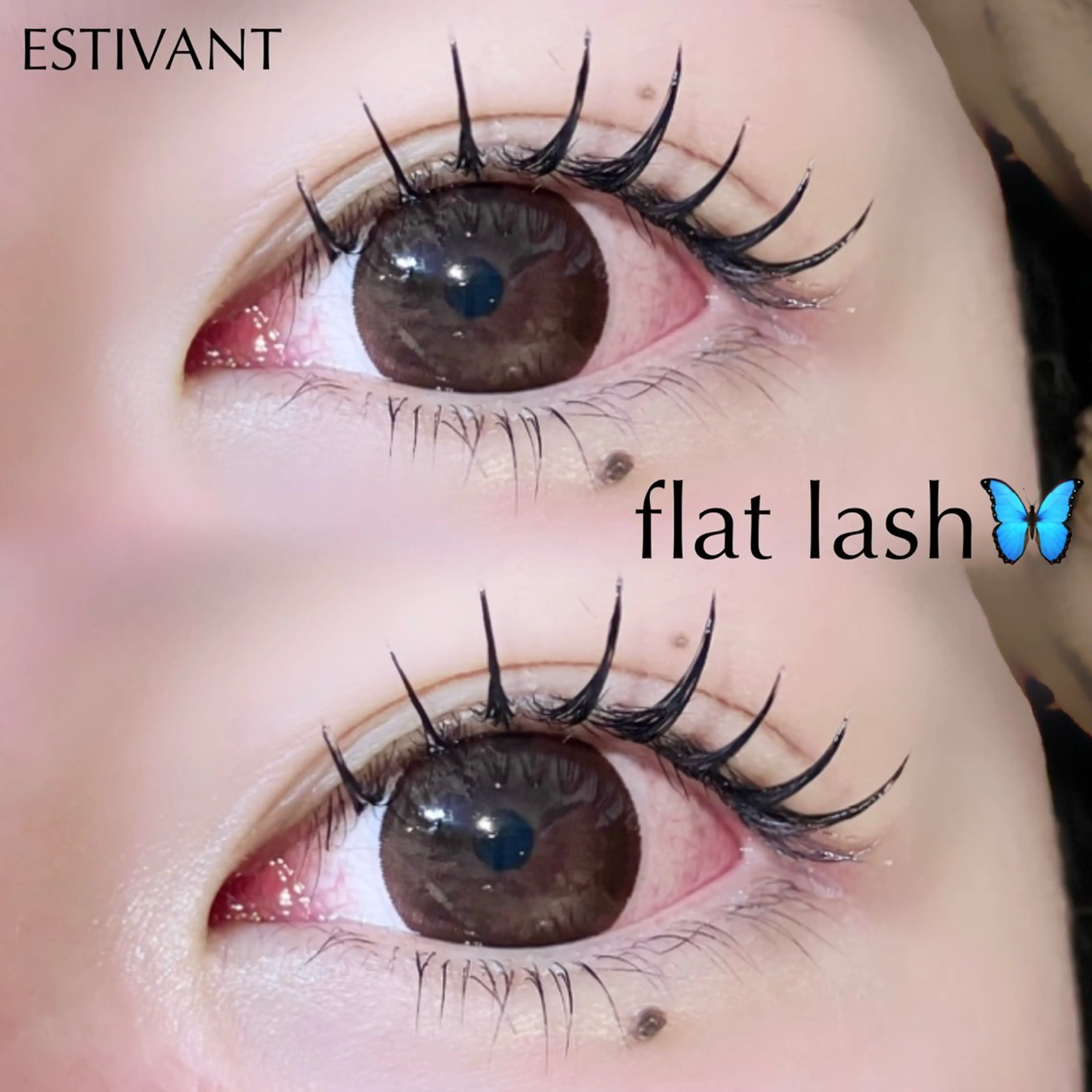 マツエク・マツパ マツエク 布施 つぐみのマツエク・マツパデザイン