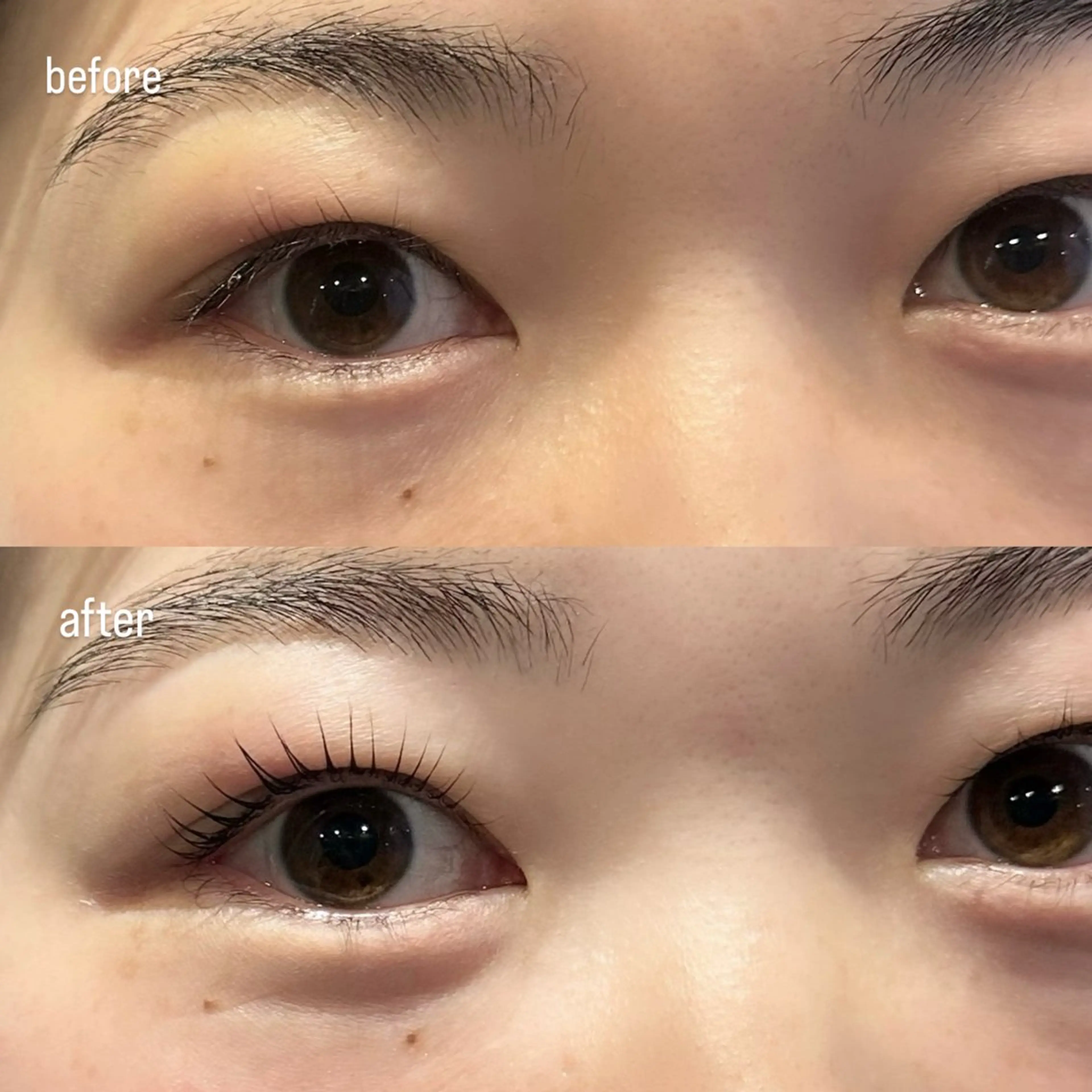 マツエク・マツパ ワックス脱毛 眉カット その他(アイブロウ) サキ🎀 /まゆげとまつげの眉毛・アイブロウイメージ