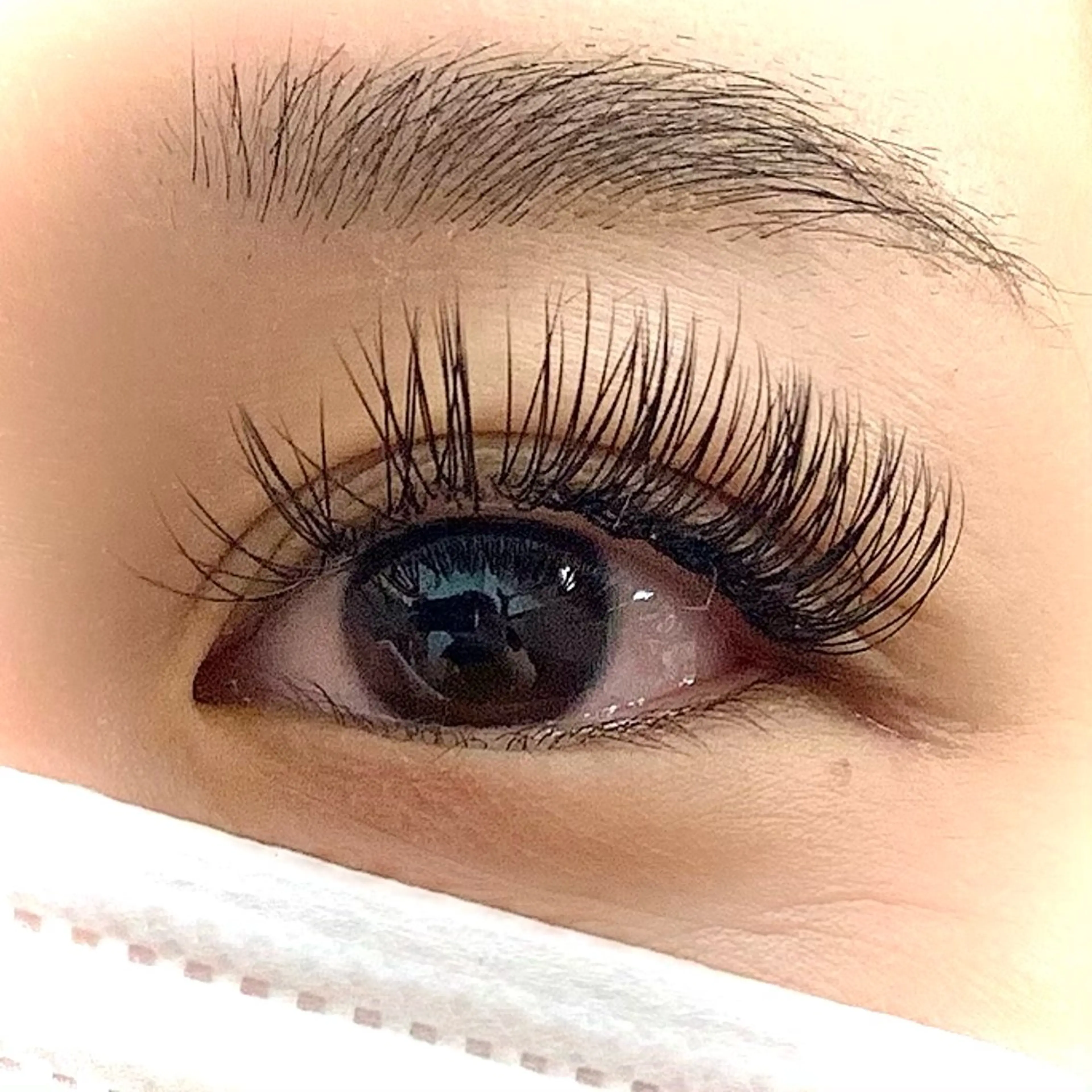 🍀フラット140本🍀の写真