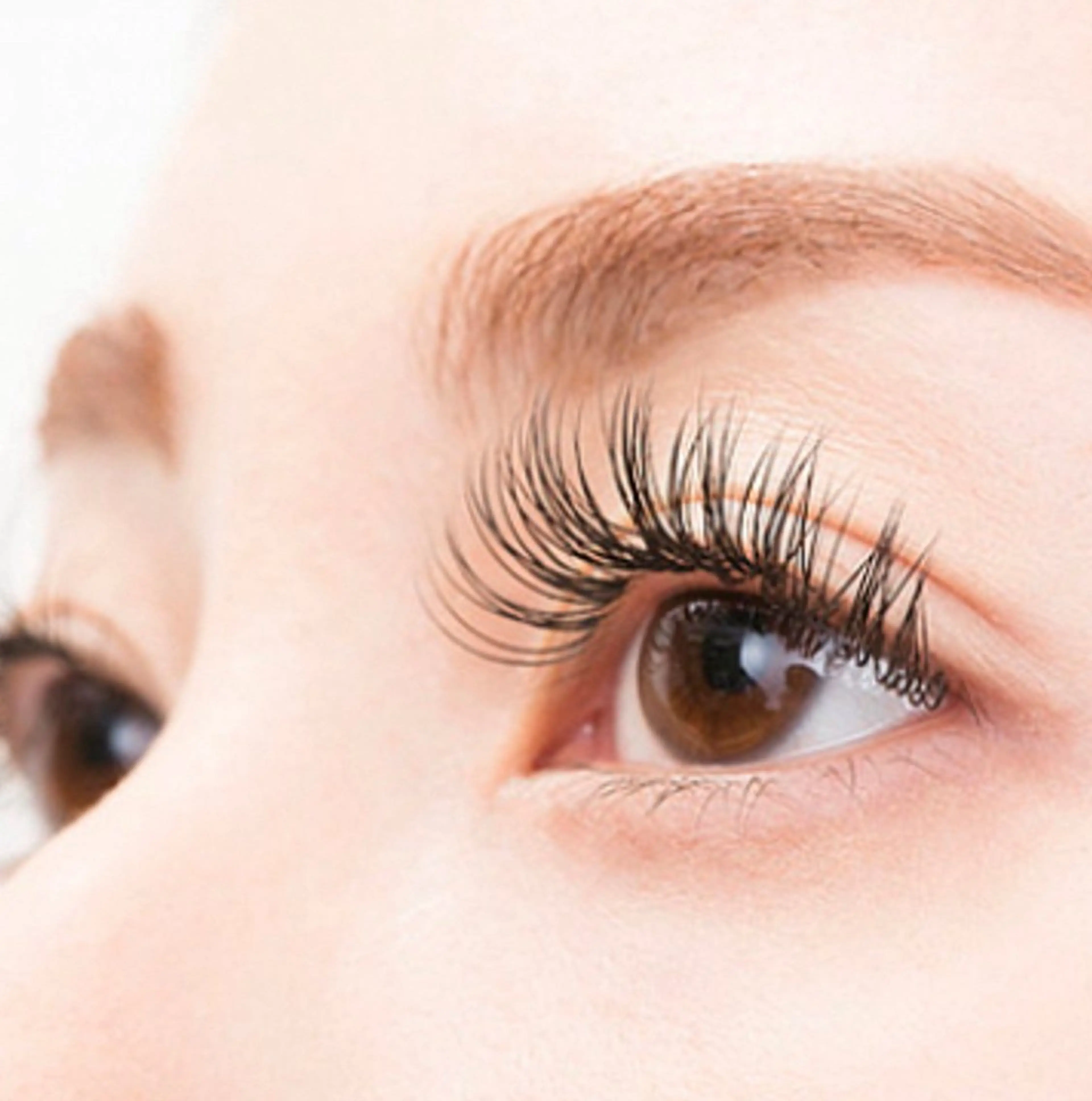 マツエク・マツパ No.3 前橋店所属・ひなの 🌼のマツエク・マツパデザイン