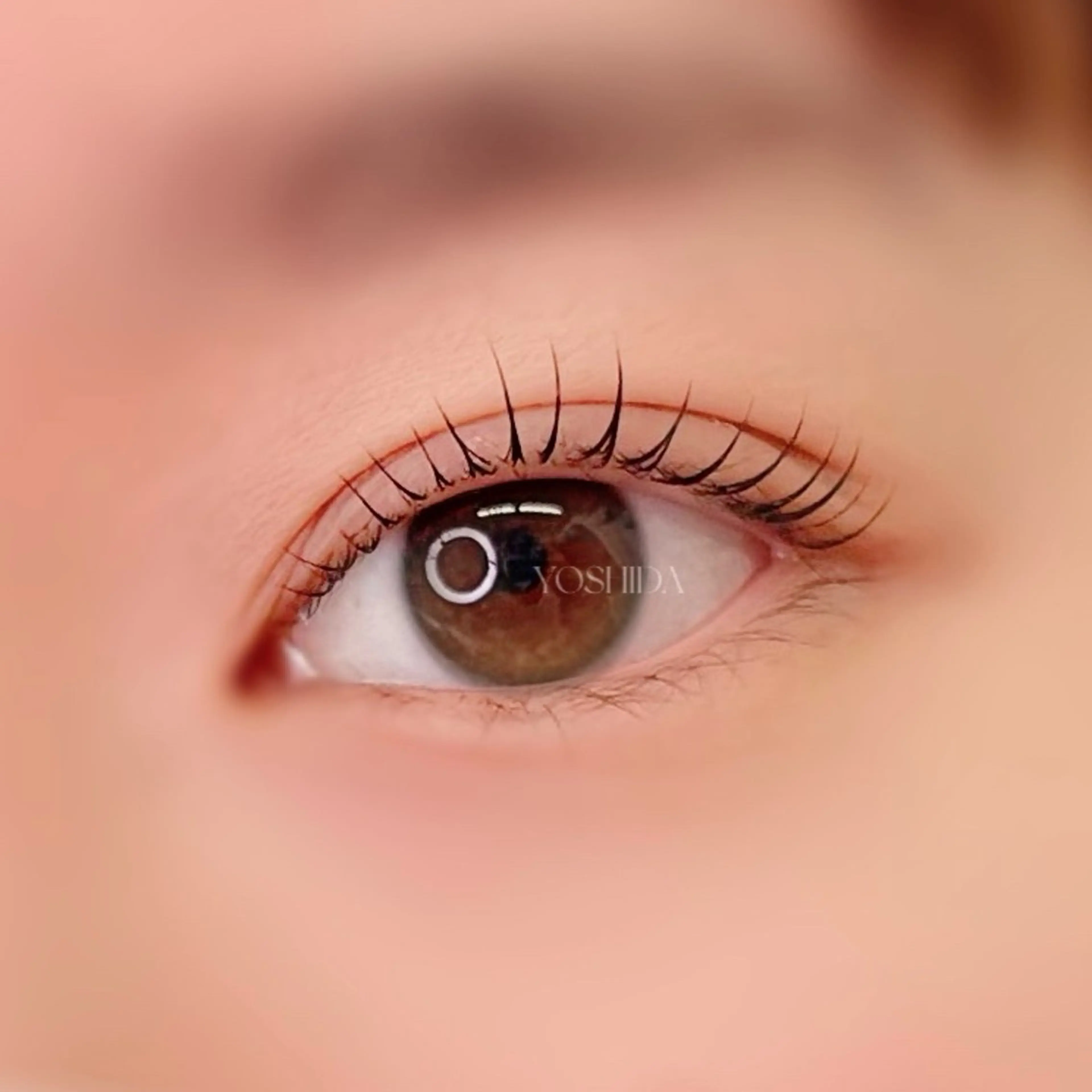 マツエク・マツパ ナチュラル マツパ 【一重┊︎奥二重】 YOSHIDA🌙の眉毛・アイブロウイメージ