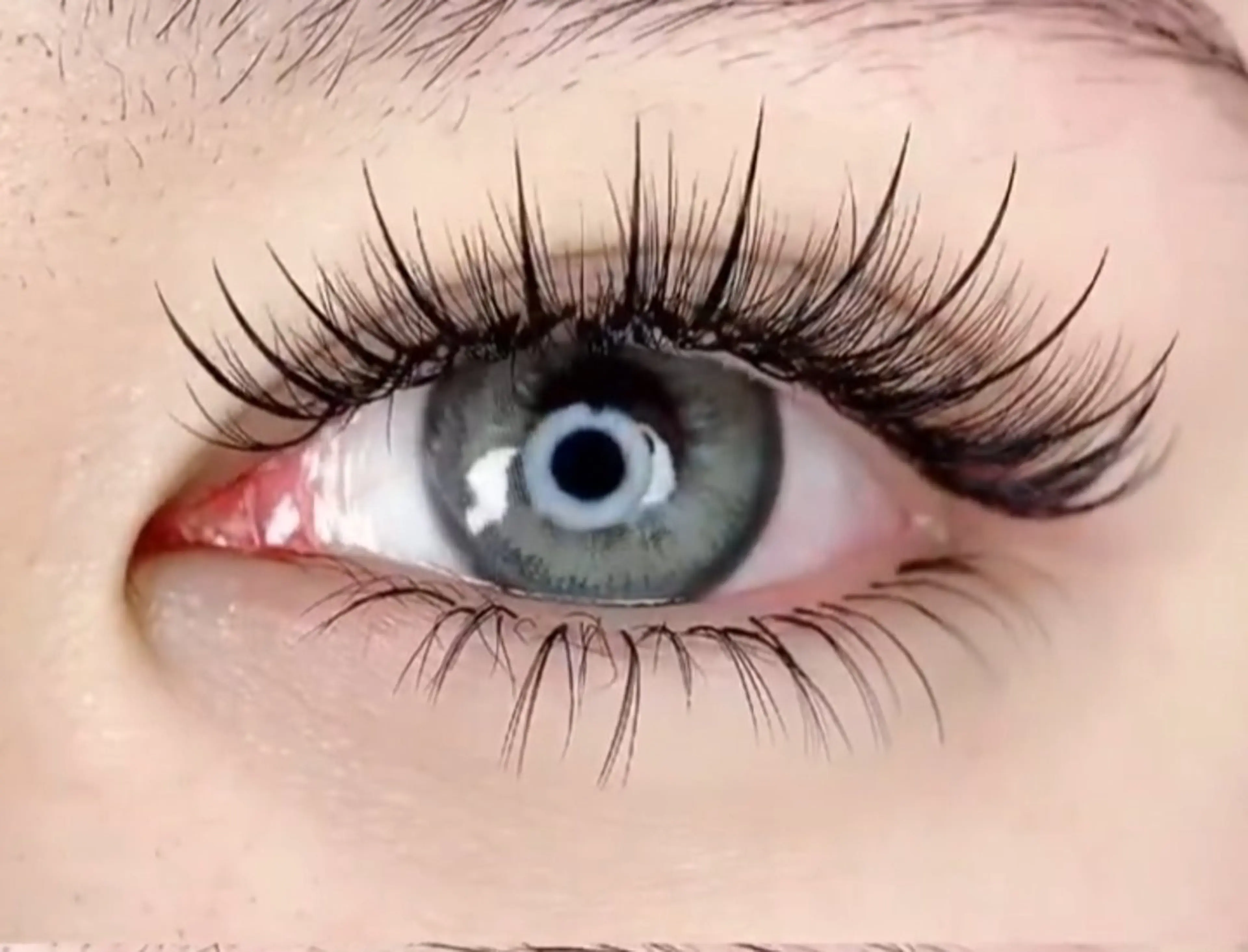 マツエク・マツパ マツエク ✨Yumi ☆eye✨のマツエク・マツパデザイン
