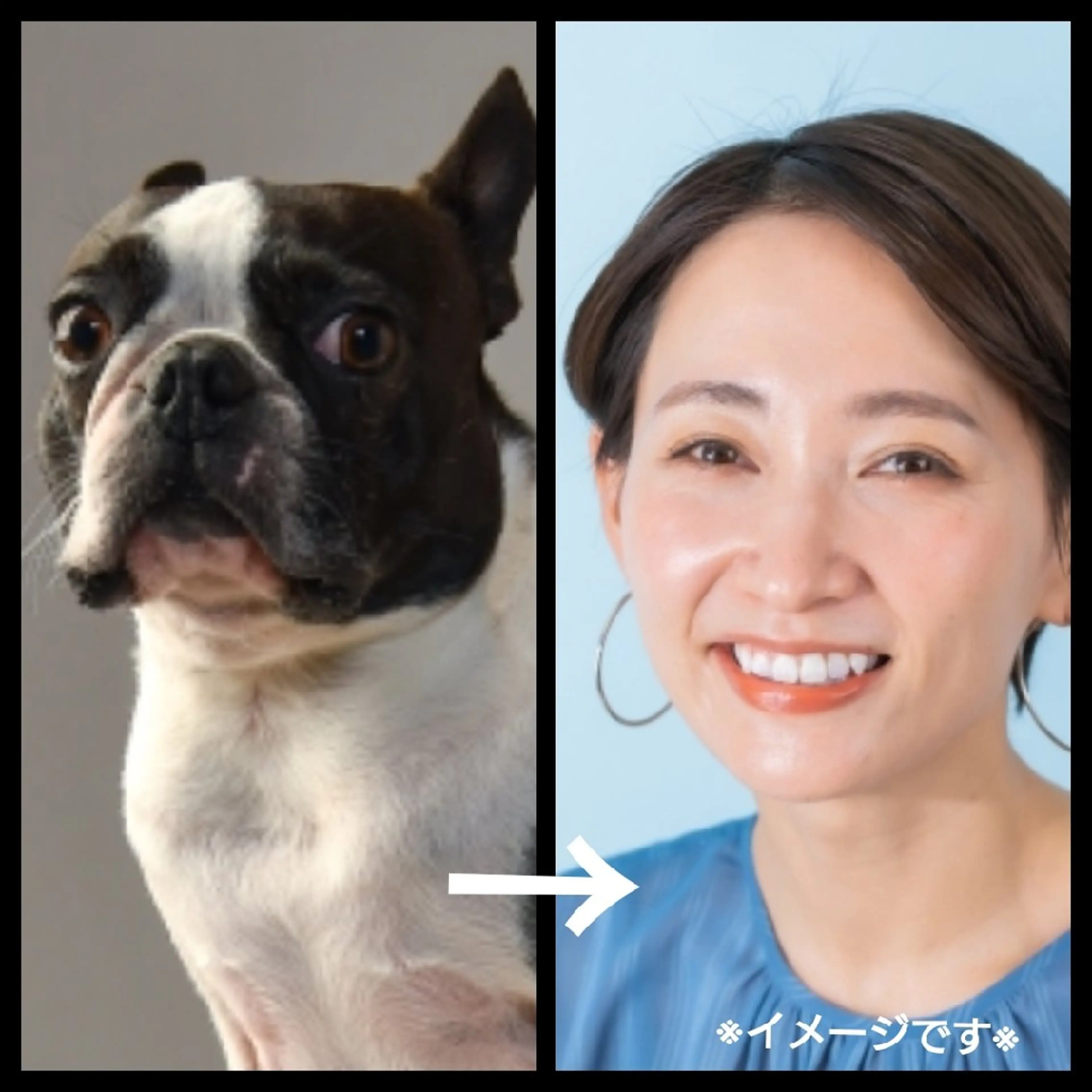 あなたの顔…ブルドッグ！！ブルドッグ顔改善2回体験の写真