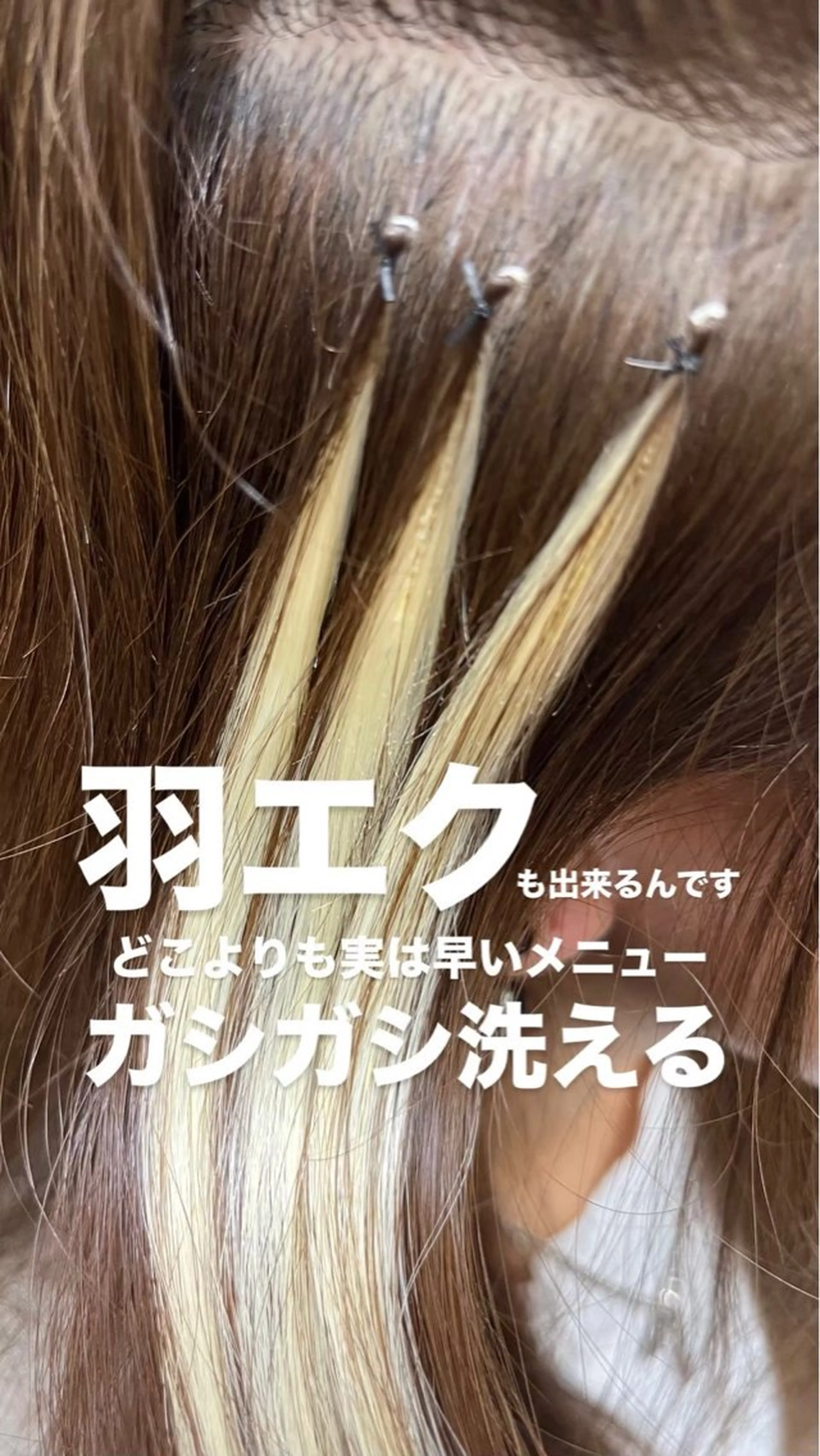 業界史上初最高毛質の羽エクステ1本の写真