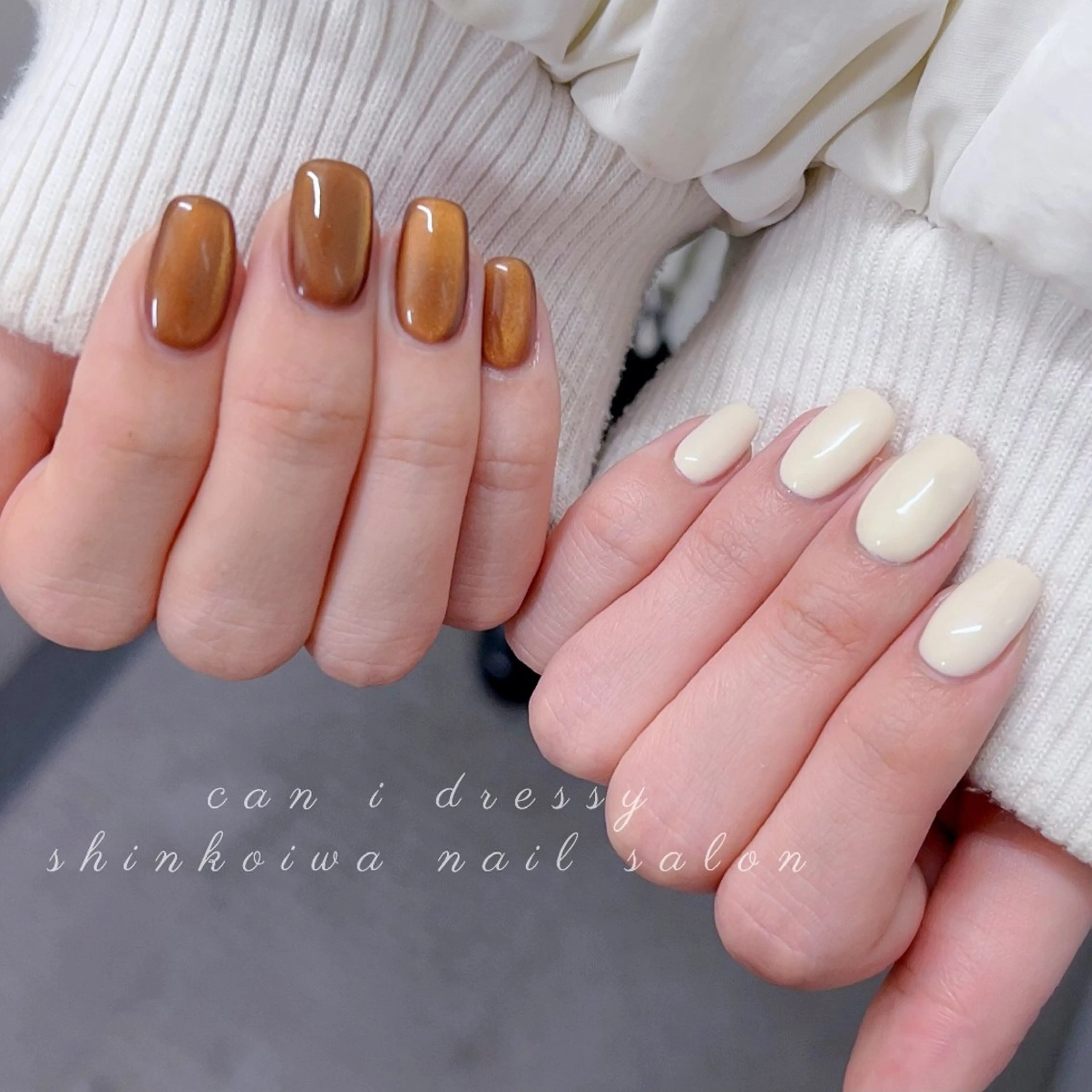 ネイル ブラウン マグネットネイル ワンカラーネイル シンプルネイル 冬ネイル ハンドネイル キャンアイレッシー 新小岩のネイルデザイン