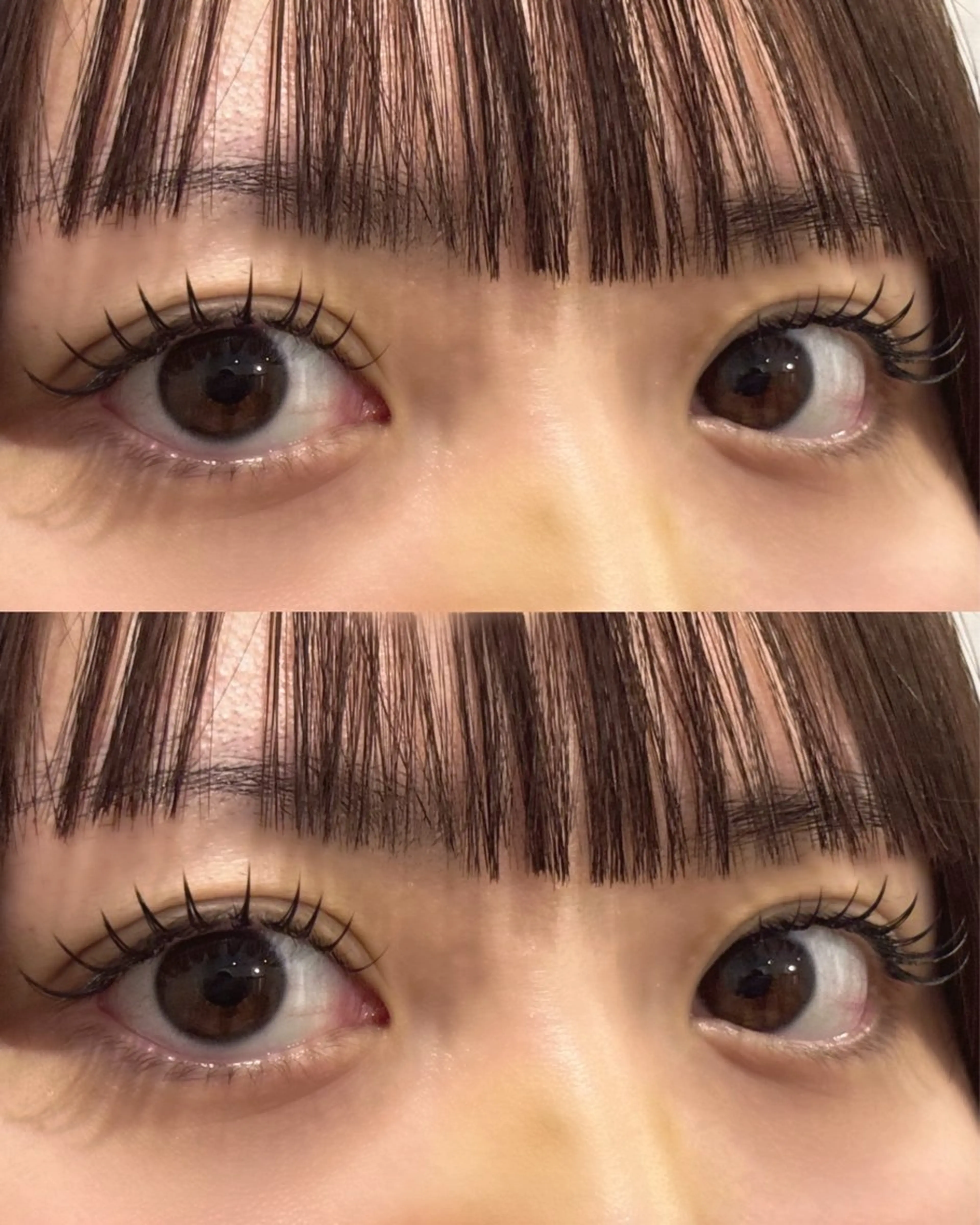 オフ🈚️シングルエクステ(フラットラッシュ片目60本)120本の写真