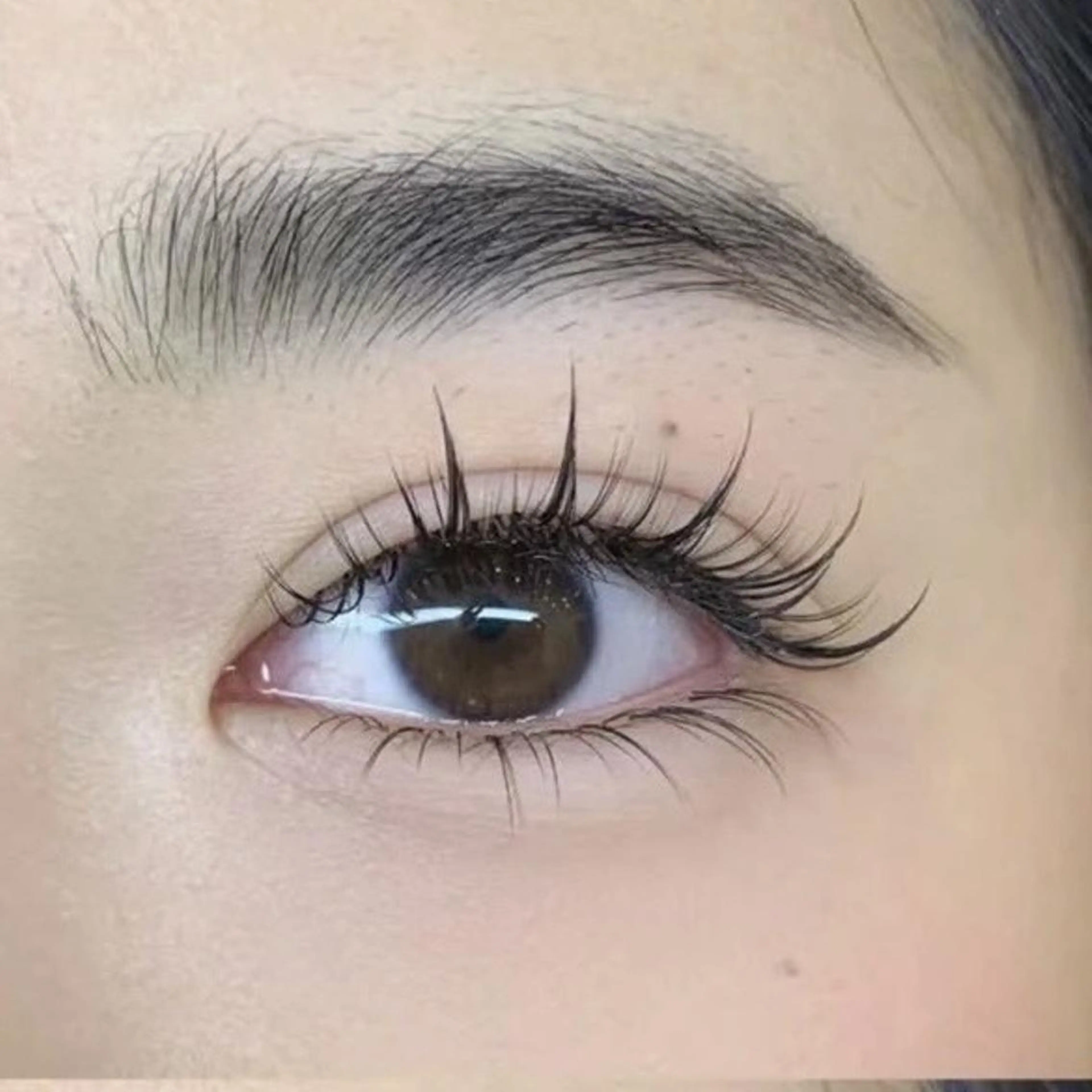 【新規がお得】❤️ワンホン140束+下付け放題♥️アイシャンプー&コーティング付の写真