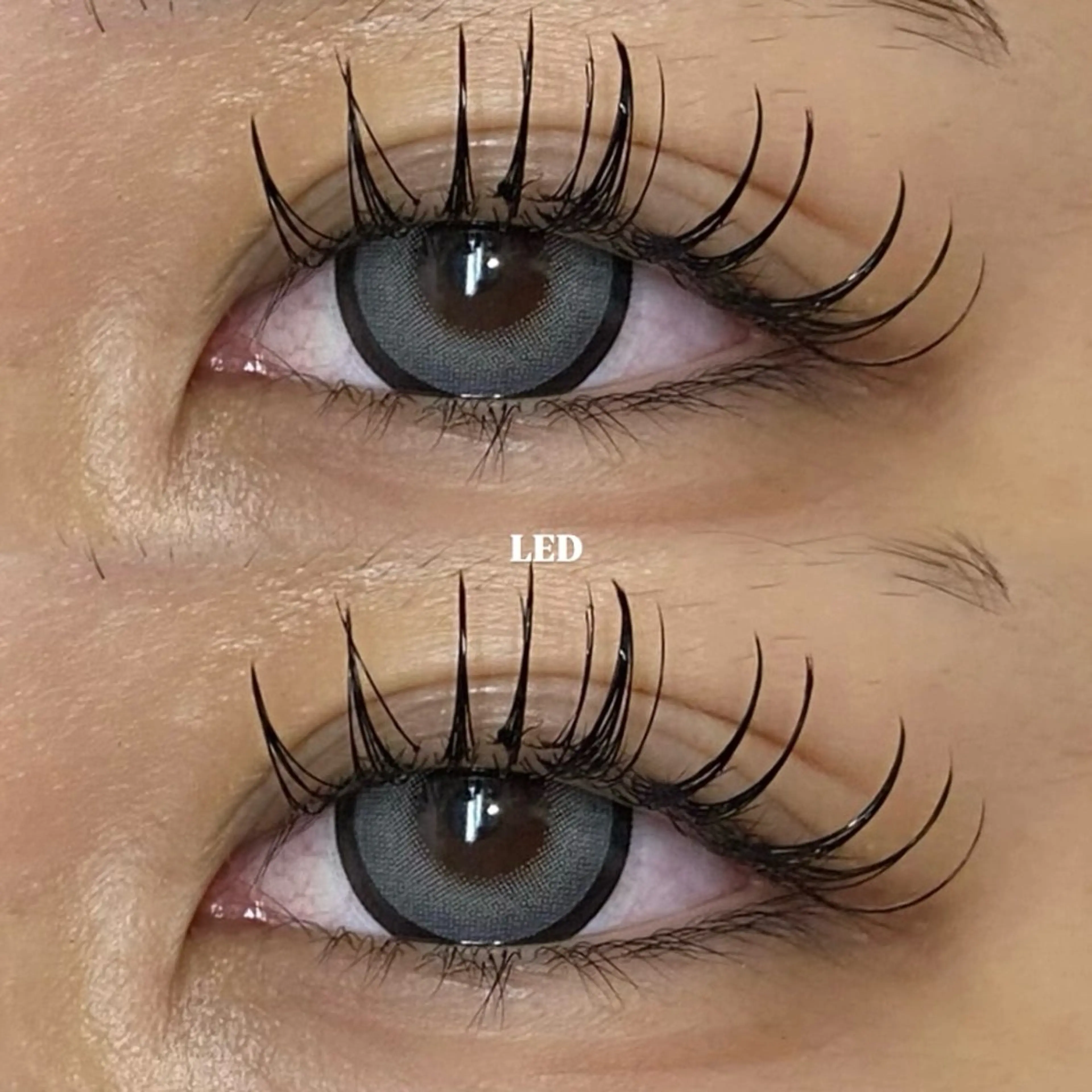 【11月26日27日限定🍀】フラットラッシュLEDエクステ130本⋆。˚☆💡☆˚。⋆練習モデルの写真