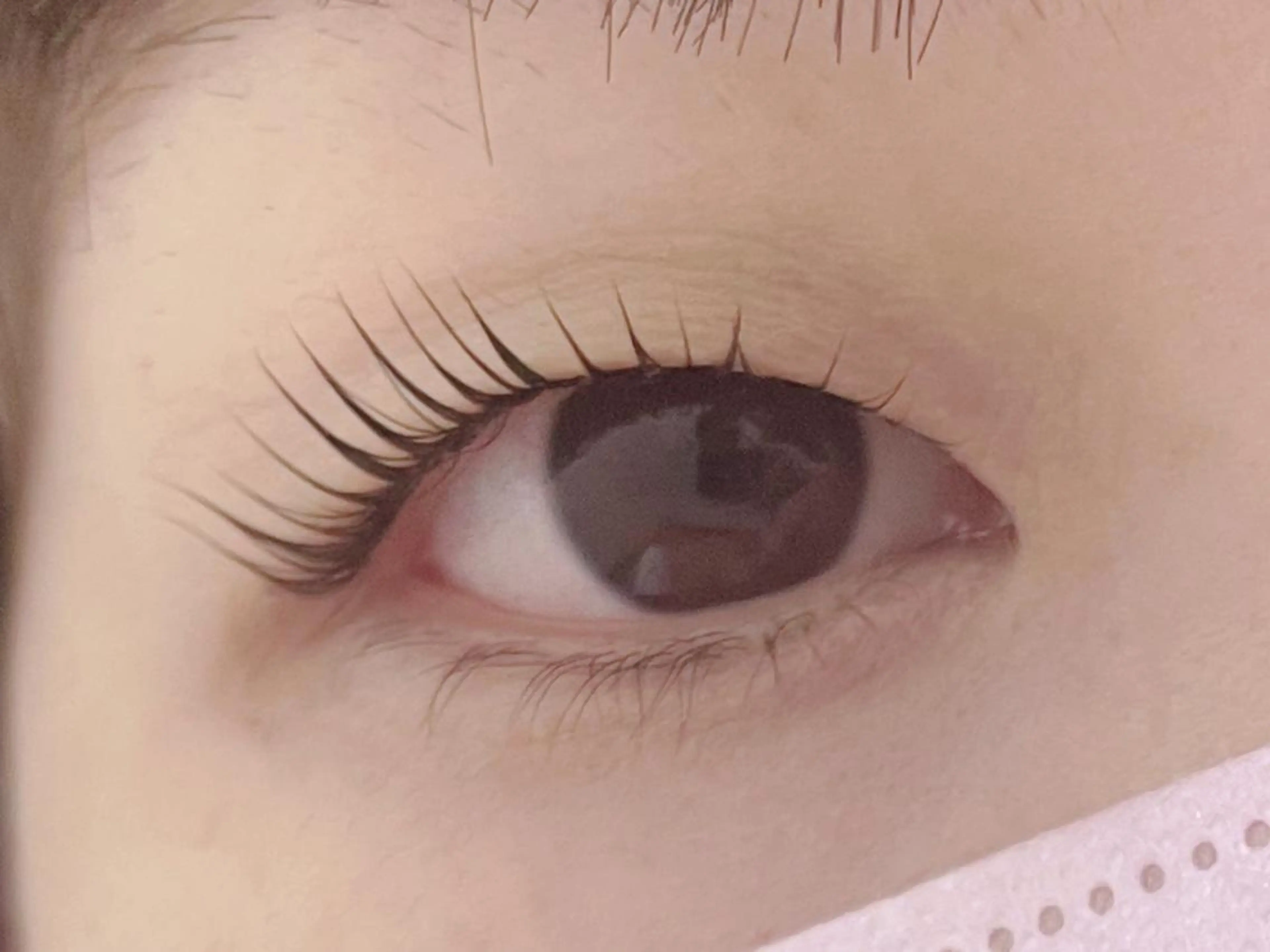 マツエク・マツパ まつげパーマ eyelash momoのマツエク・マツパデザイン