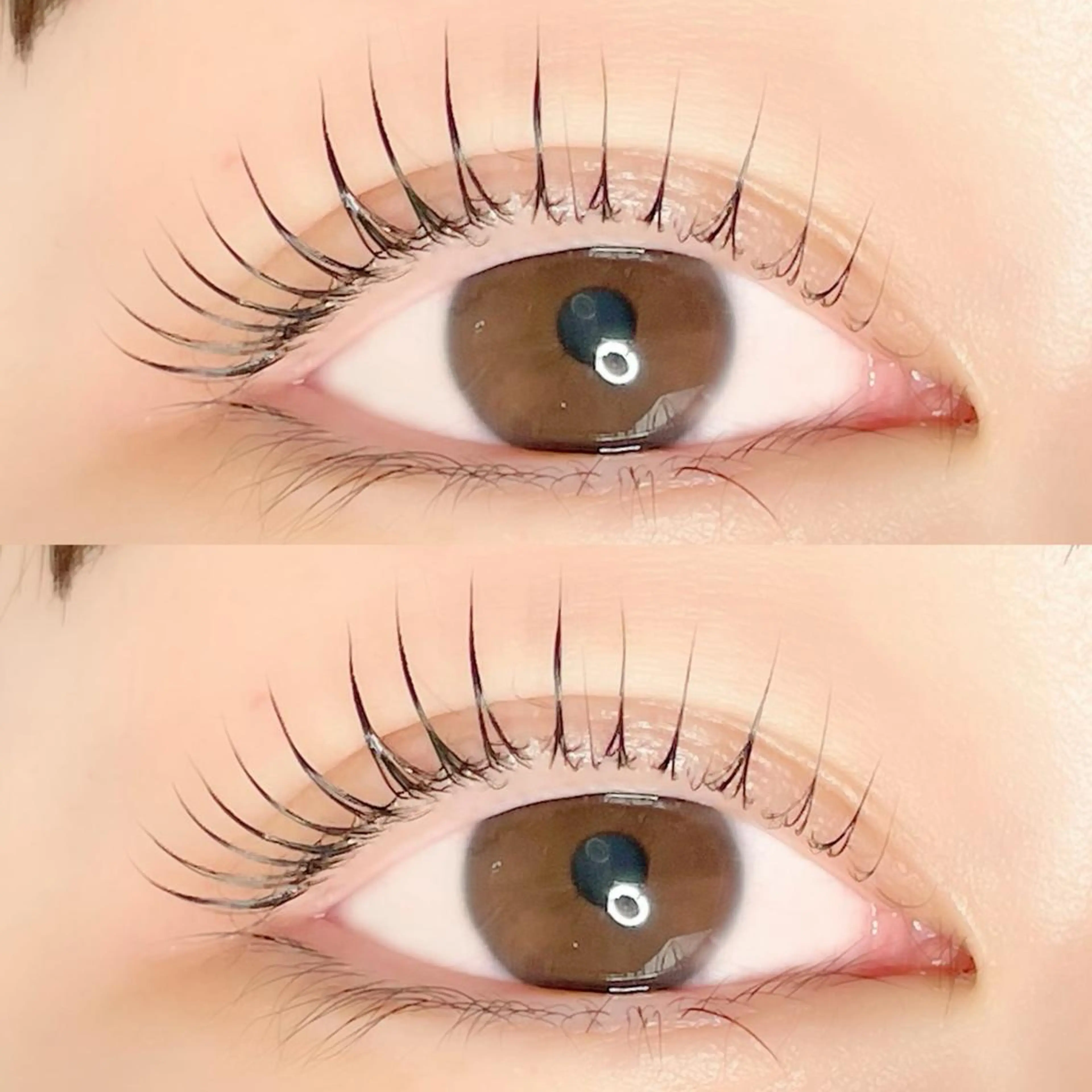 マツエク・マツパ マツパ AYLASH🧡 猪又のマツエク・マツパデザイン