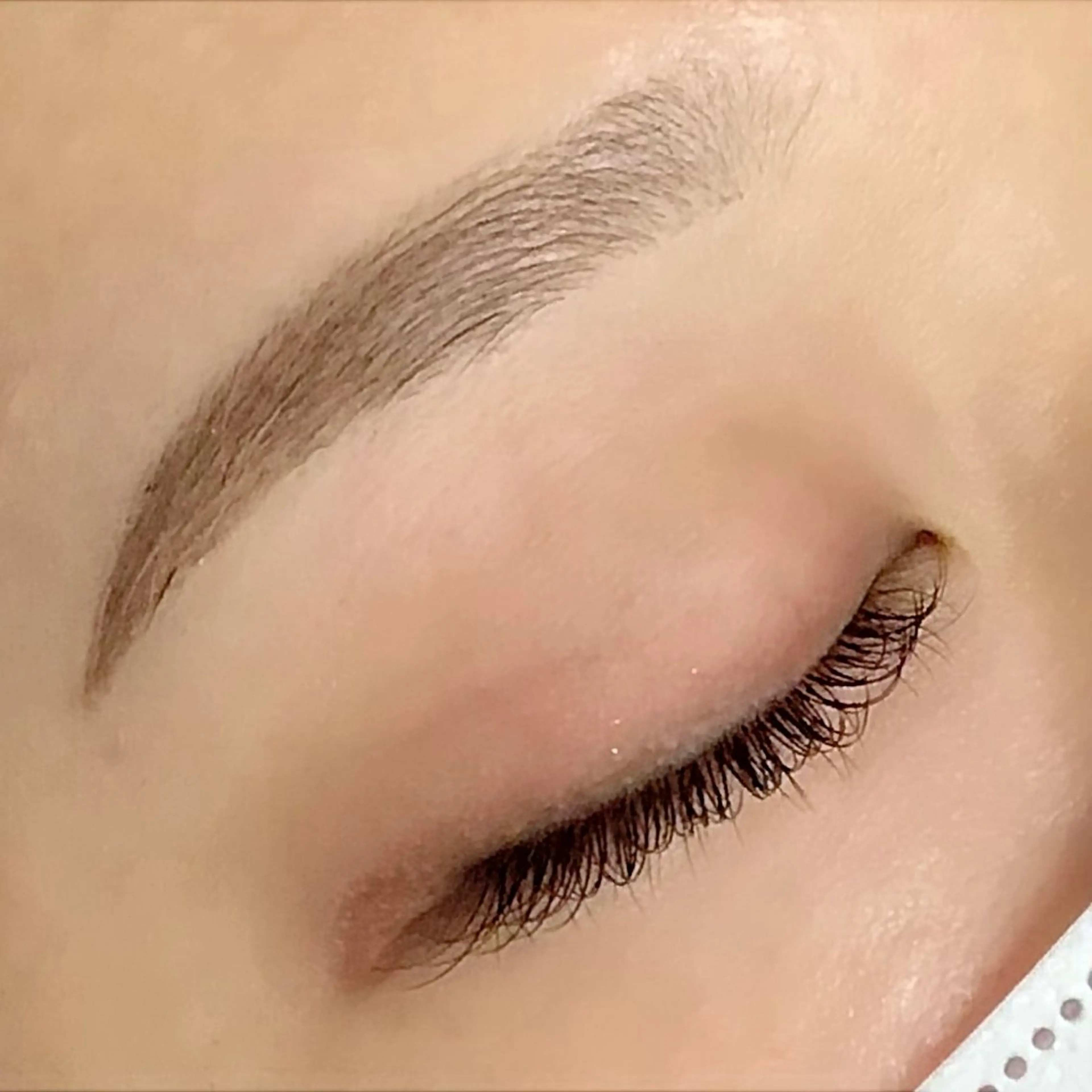 《練習モデル》美眉毛Wax脱毛の写真
