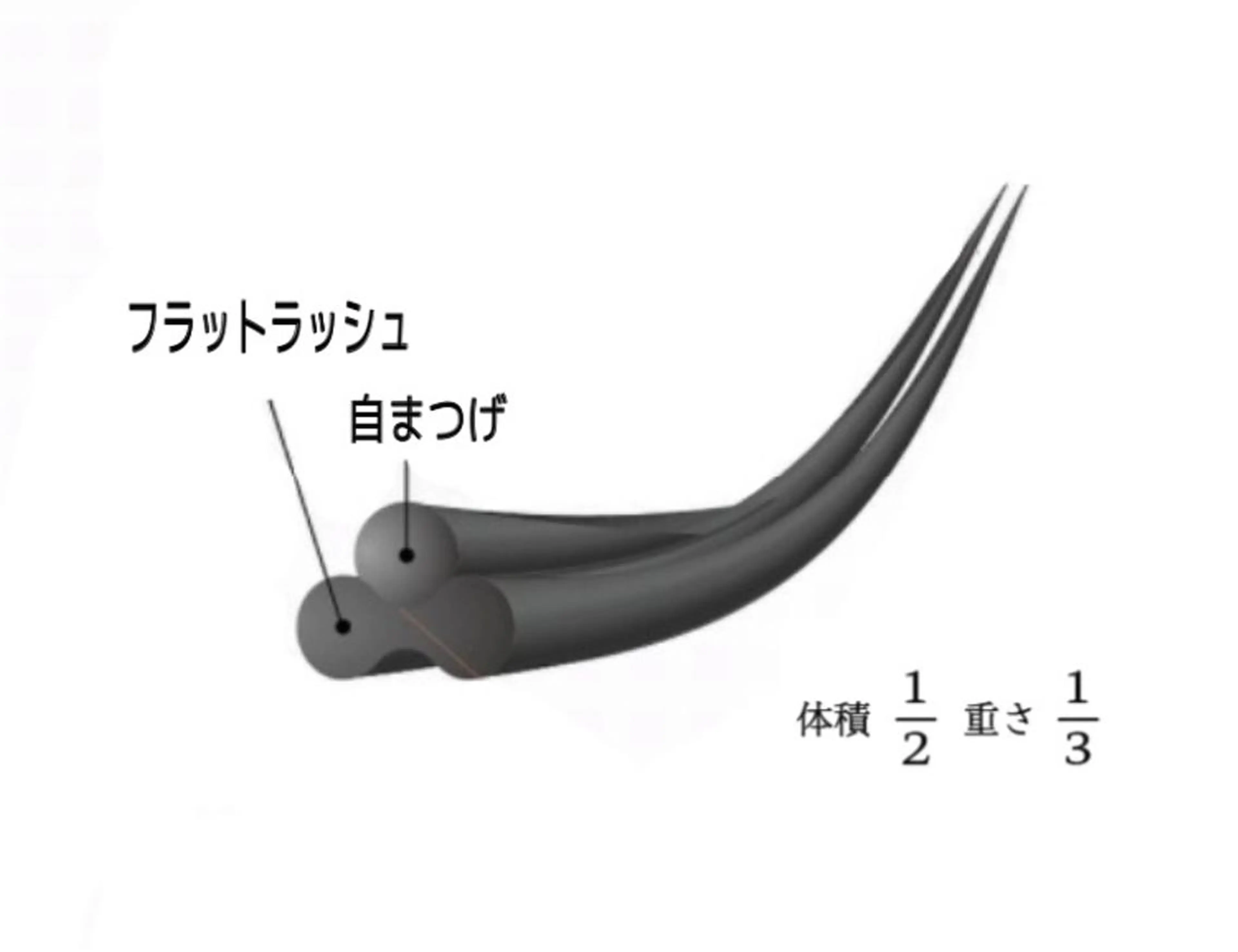 マツエク・マツパ フラットラッシュ まつげパーマ マツエク G'nal ＊Moriharaのマツエク・マツパデザイン