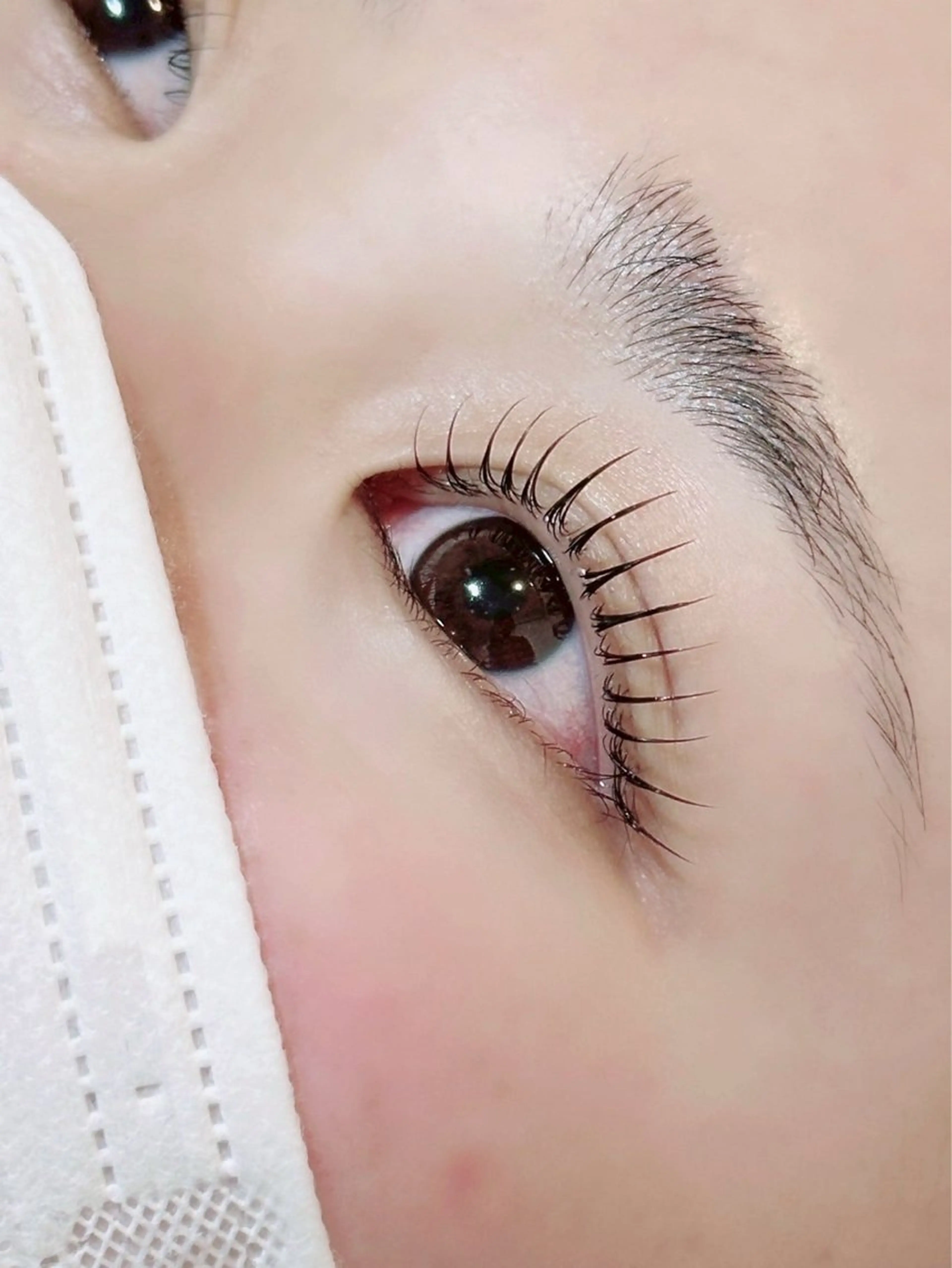 マツエク・マツパ TOP BROW 葵衣のマツエク・マツパデザイン