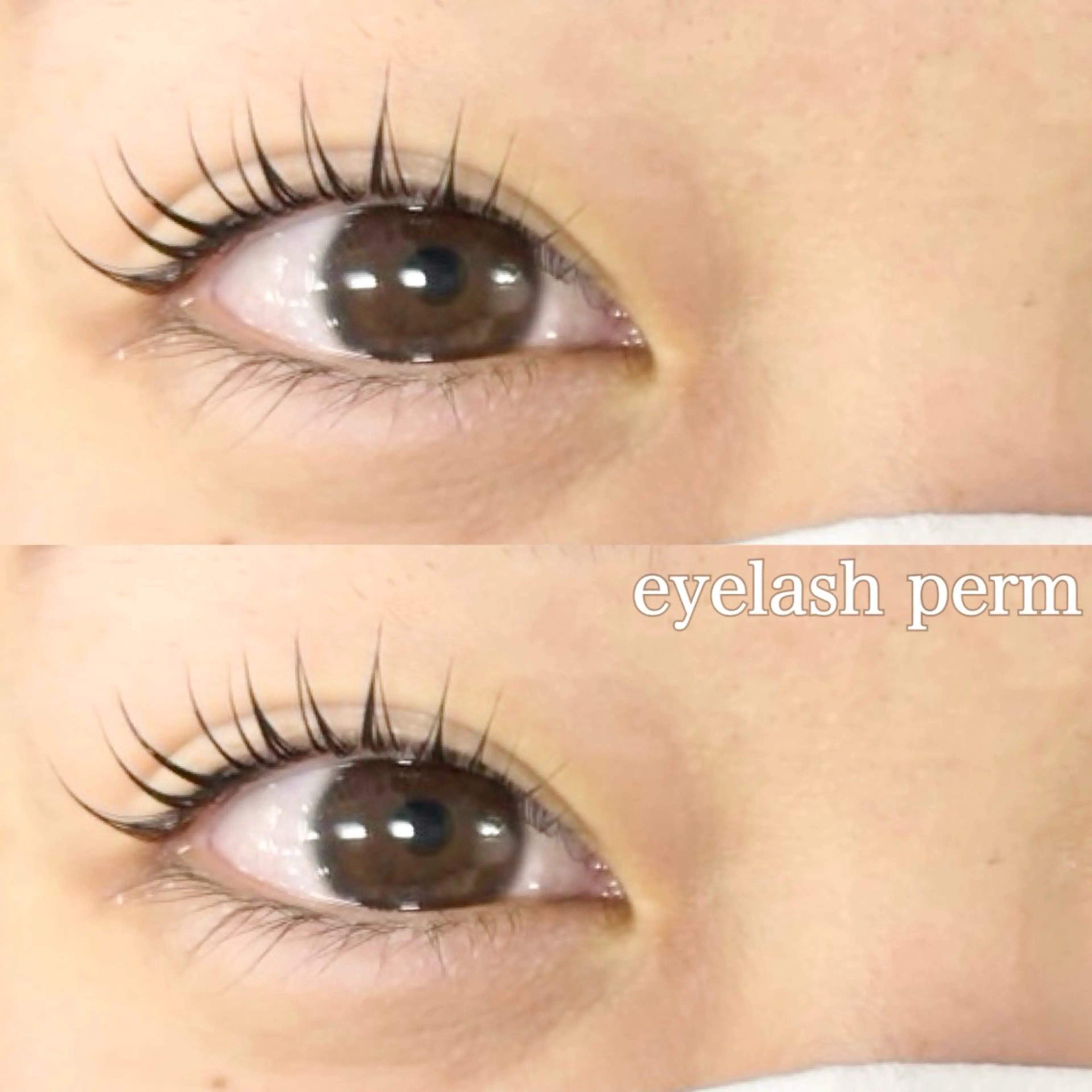 マツエク・マツパ 一重×まつ毛パーマ リル目黒所属・目黒アイサロン 🩶Ikegamiのマツエク・マツパデザイン