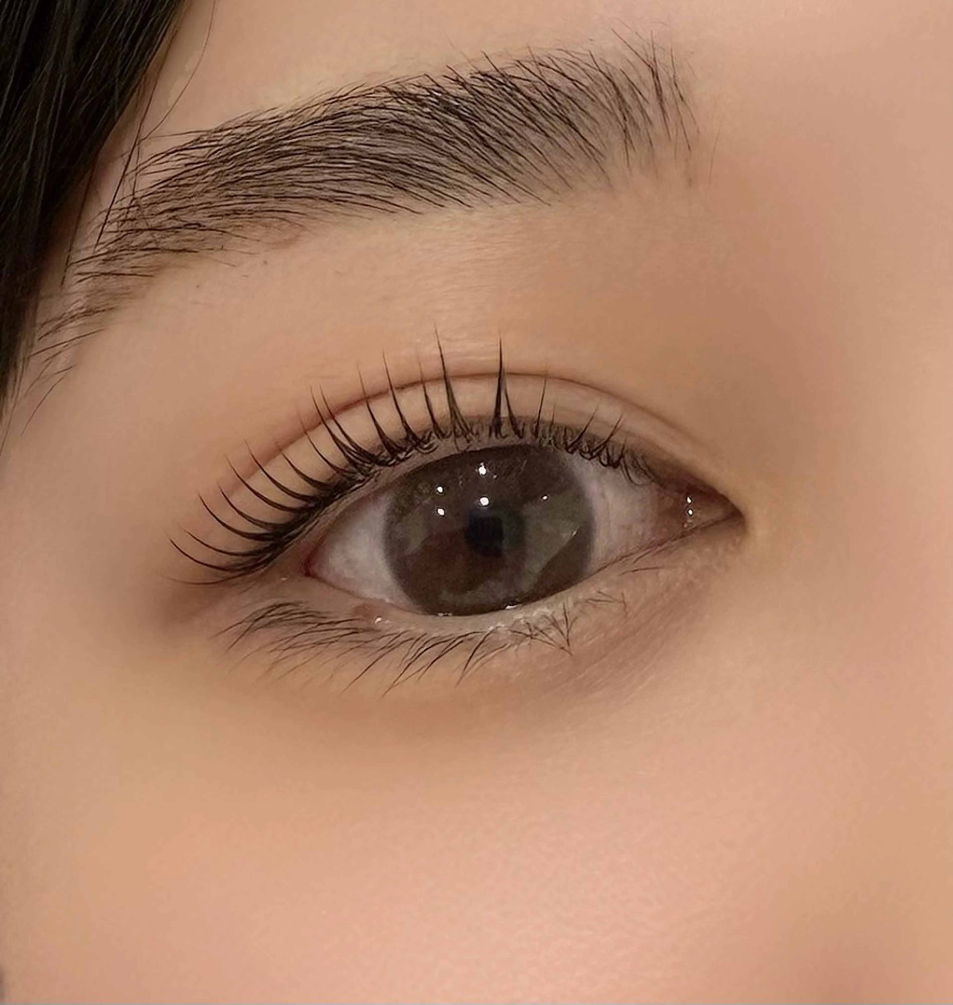 上下まつ毛パーマ+美眉ワックス🤎特別価格🤎の写真