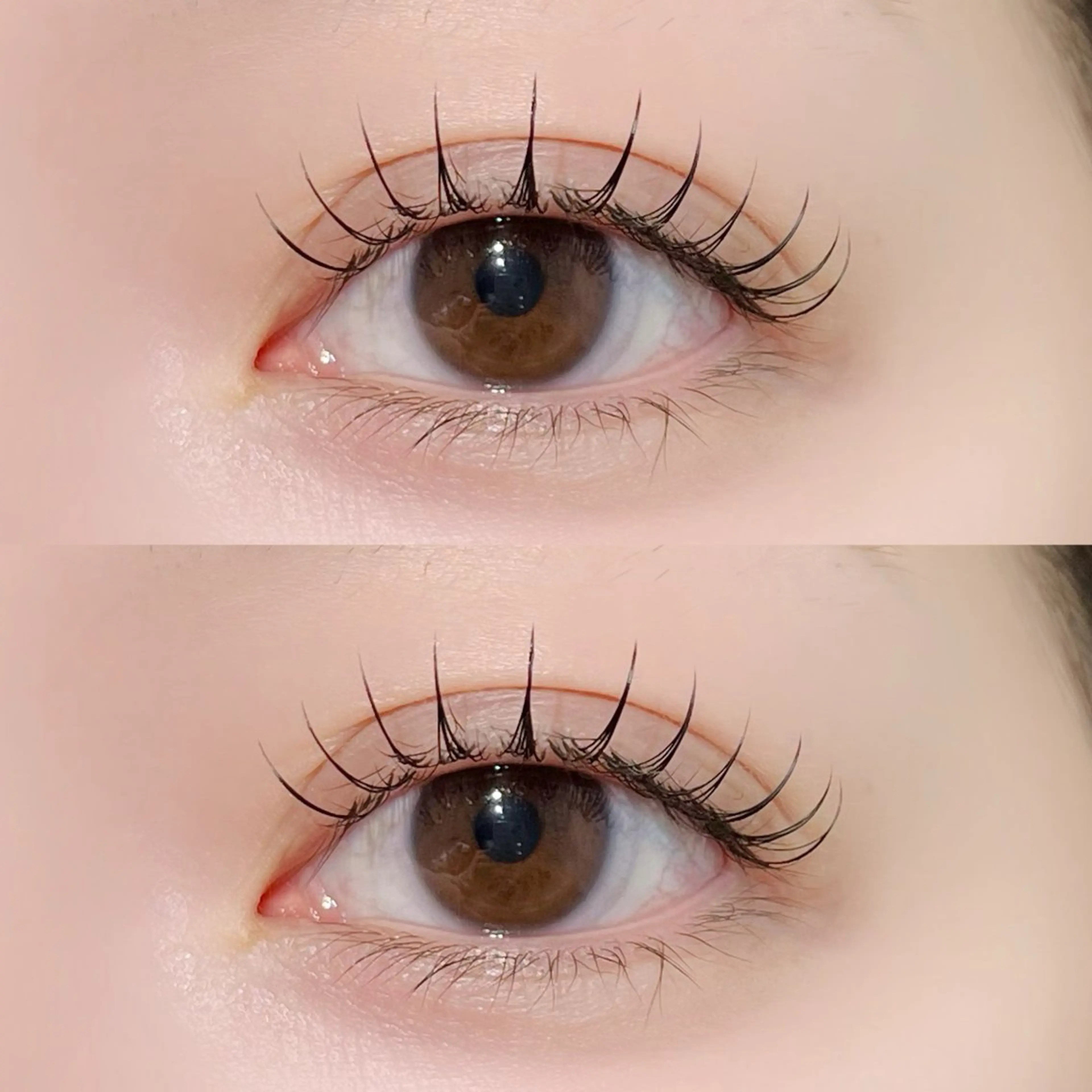 11月18日16時〜限定*マツエク講習モデル【フラットラッシュ〜100本迄】の写真