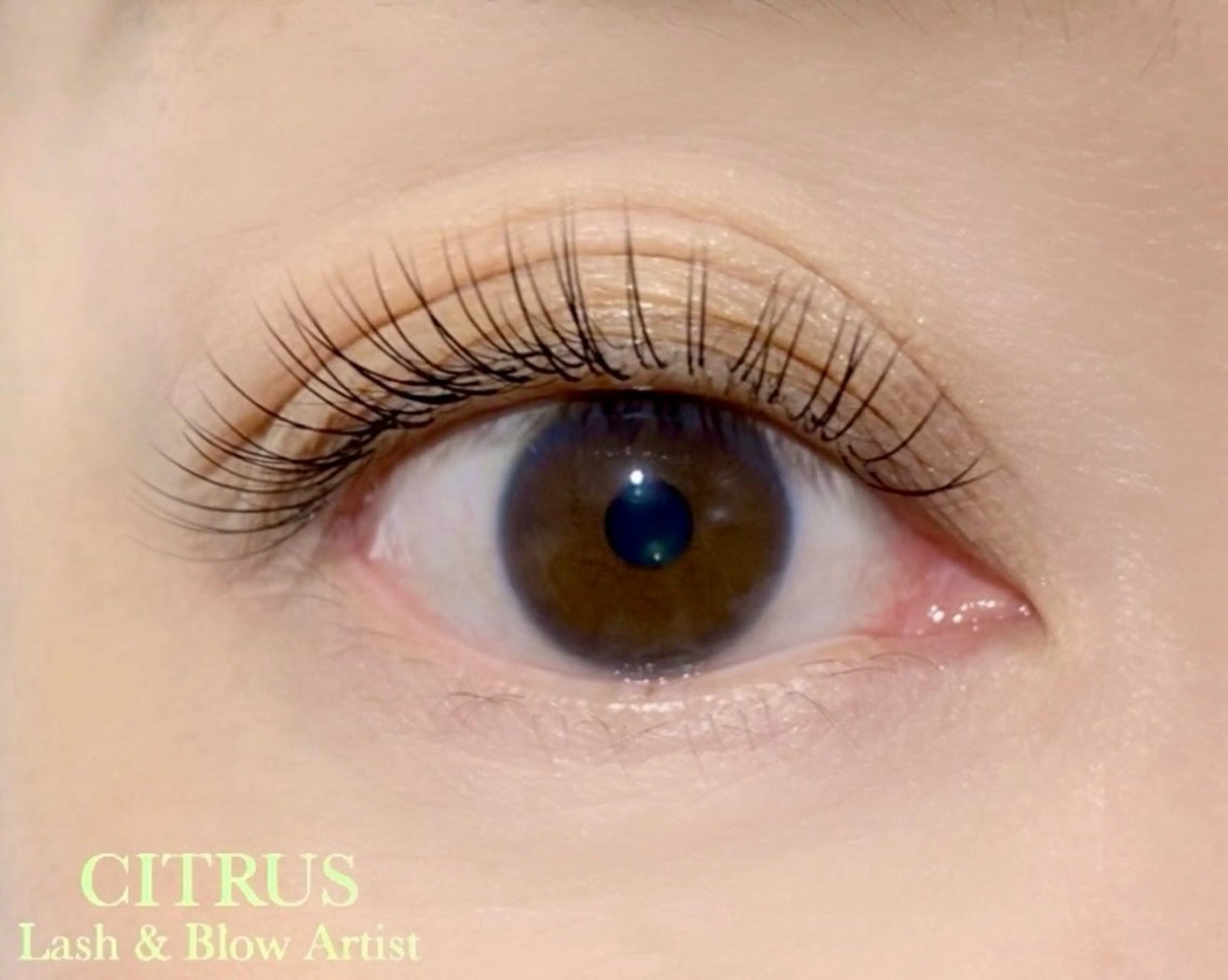 マツエク・マツパ マツエク Citrus salonのマツエク・マツパデザイン