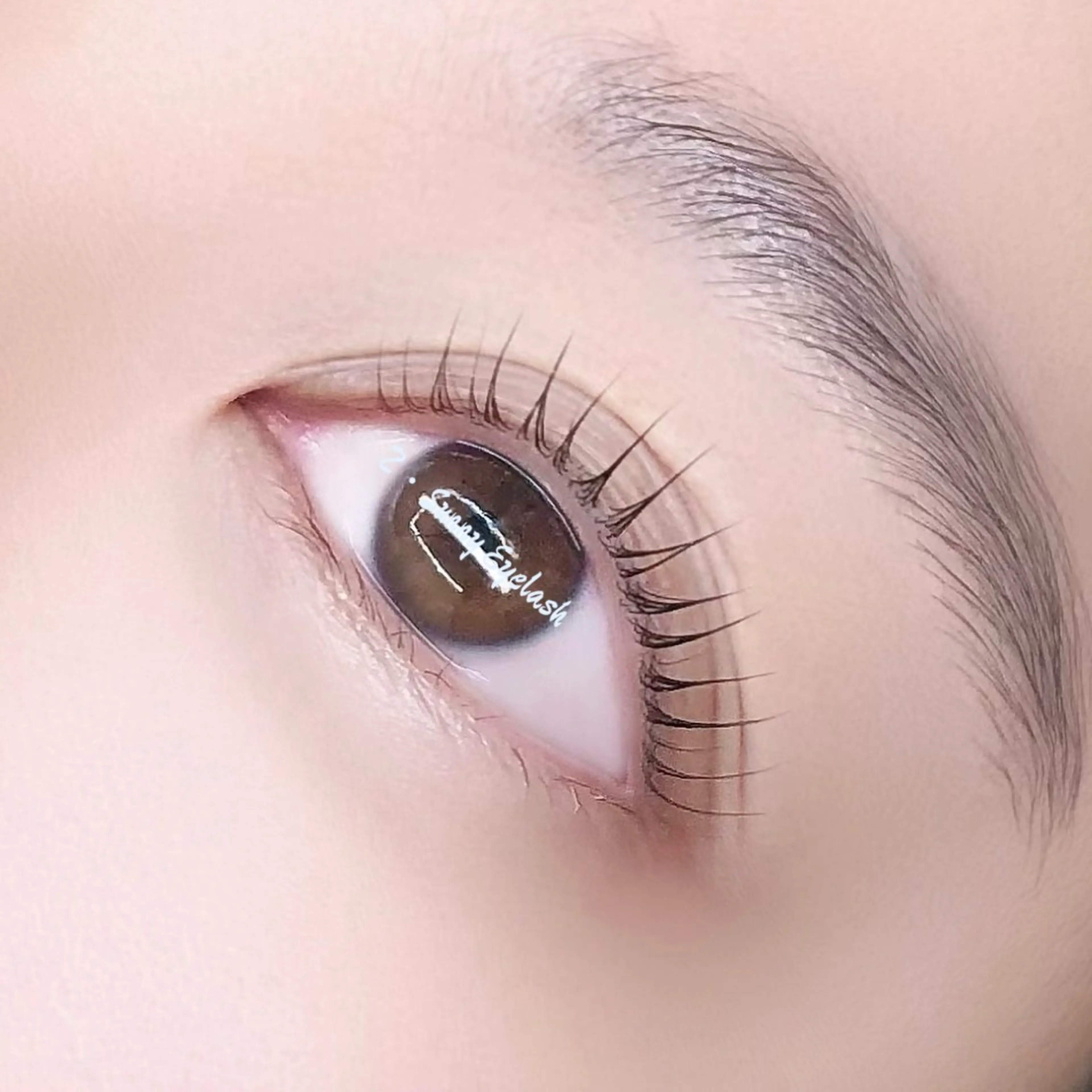 マツエク・マツパ 束感まつ毛 韓国風マツエク ナチュラル まつげパーマ マツパ まつげ／パリジェンヌ 専門店【新小岩4分】のマツエク・マツパデザイン