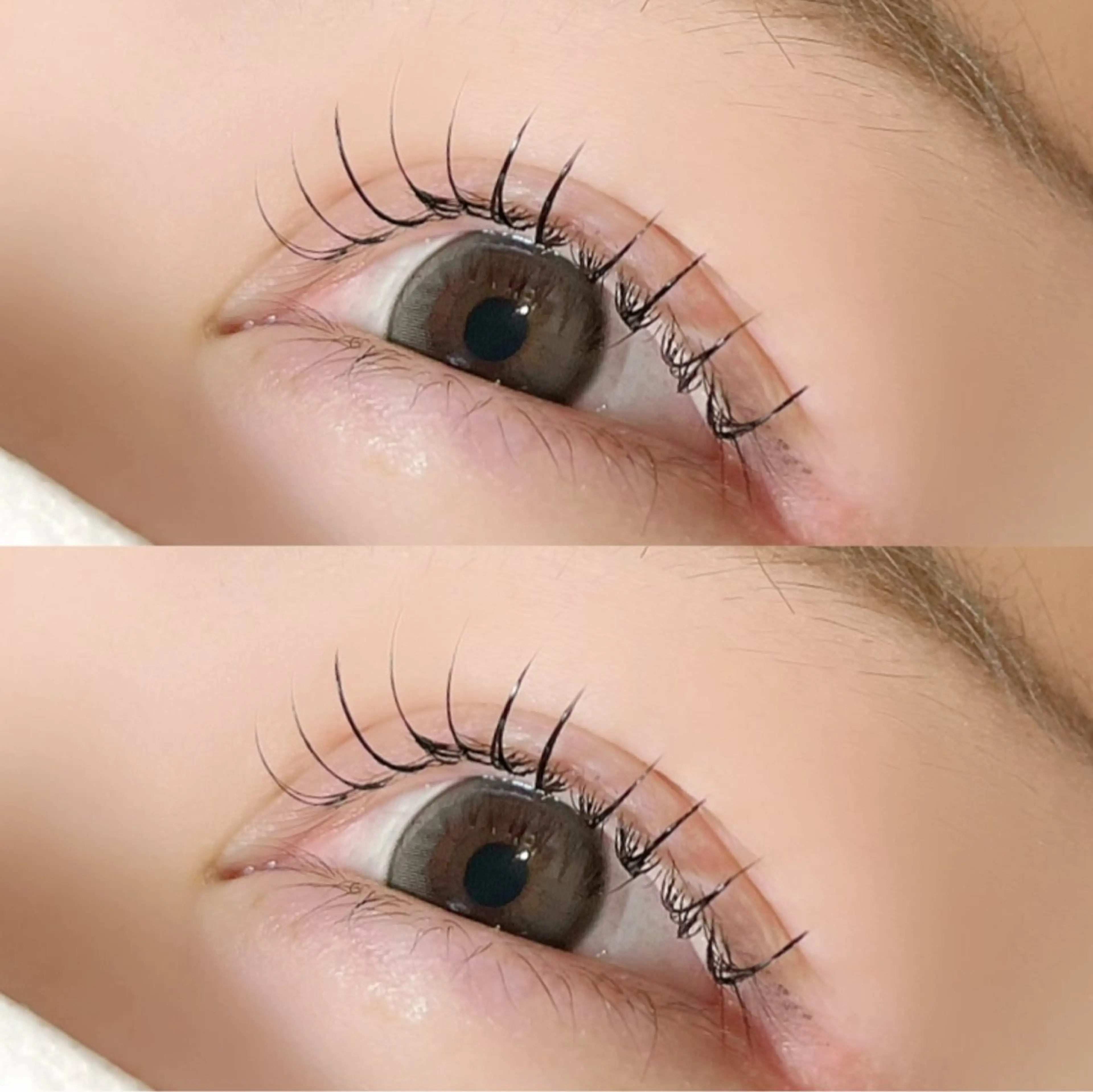 マツエク・マツパ 束感まつ毛 Cカール キュート フラットラッシュ ナチュラル マツエク Maaz lash 🫧4のマツエク・マツパデザイン