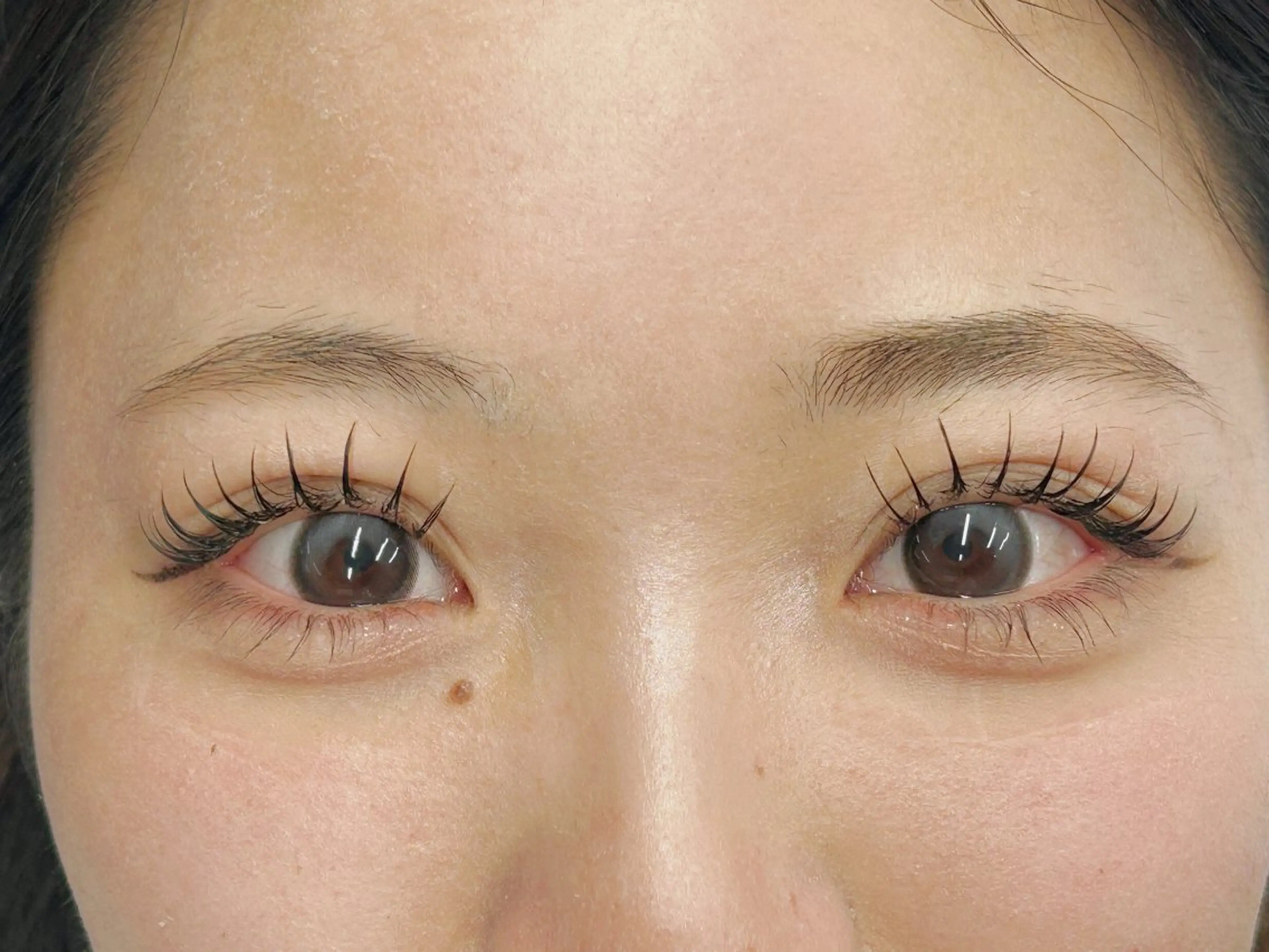 🤎フラットラッシュ120本の写真