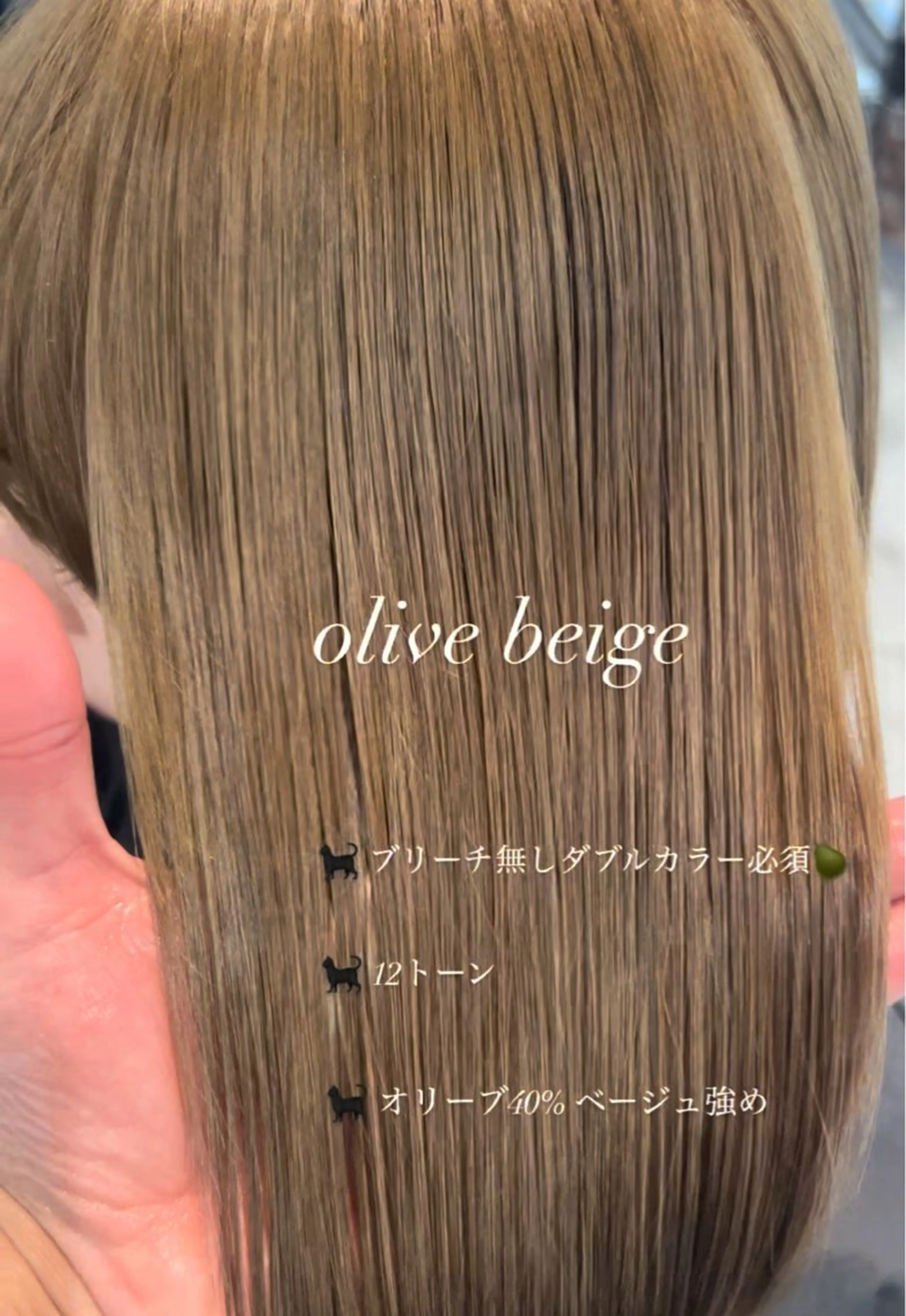 カラー オリーブカラー カット ヘアカラー 二宮 陽太のヘアスタイル