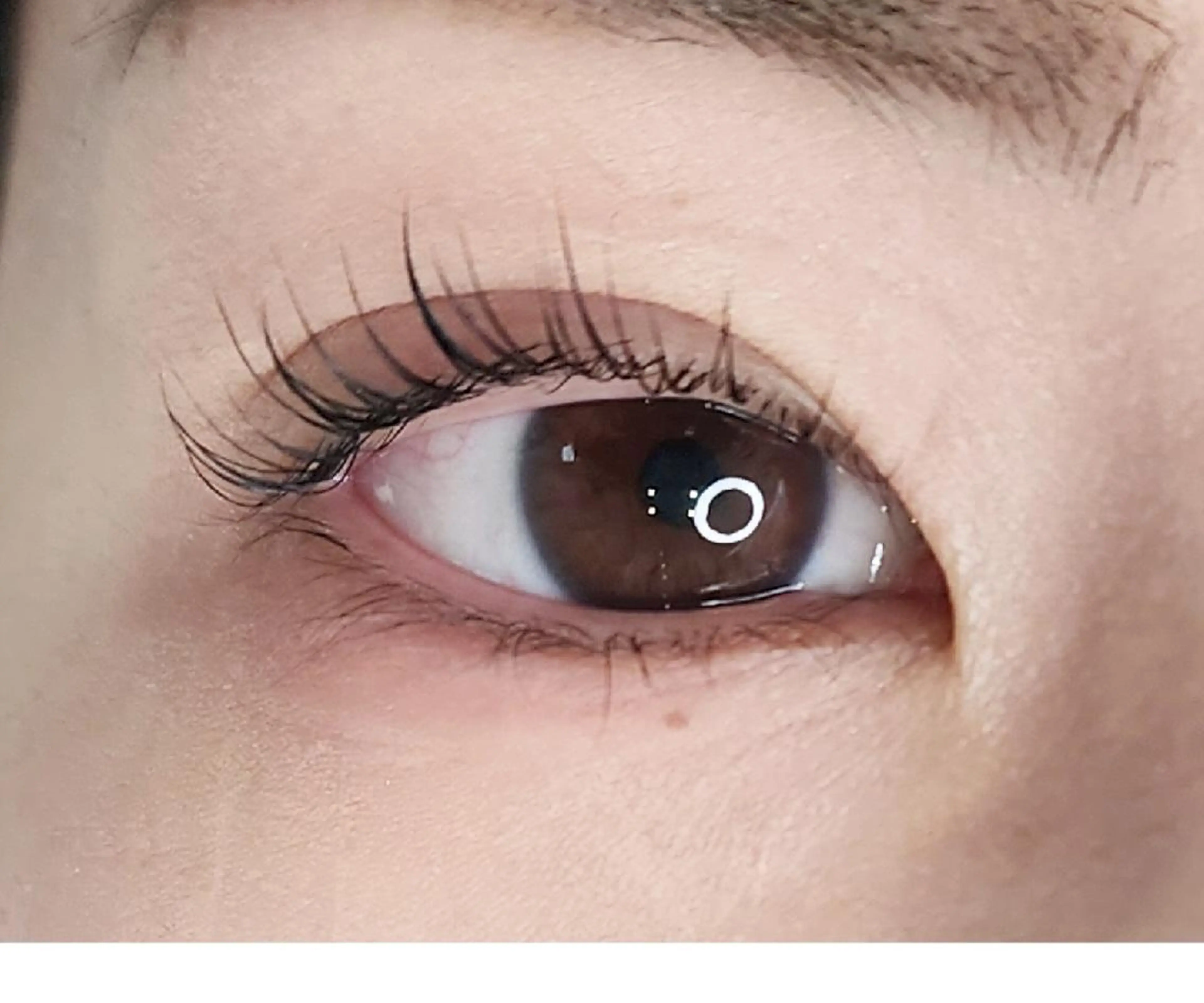マツエク・マツパ ｃａｒｅ　ｓａｌｏｎ　ＬＩＴ所属・ｃａｒｅ　ｓａｌｏｎ LITのマツエク・マツパデザイン