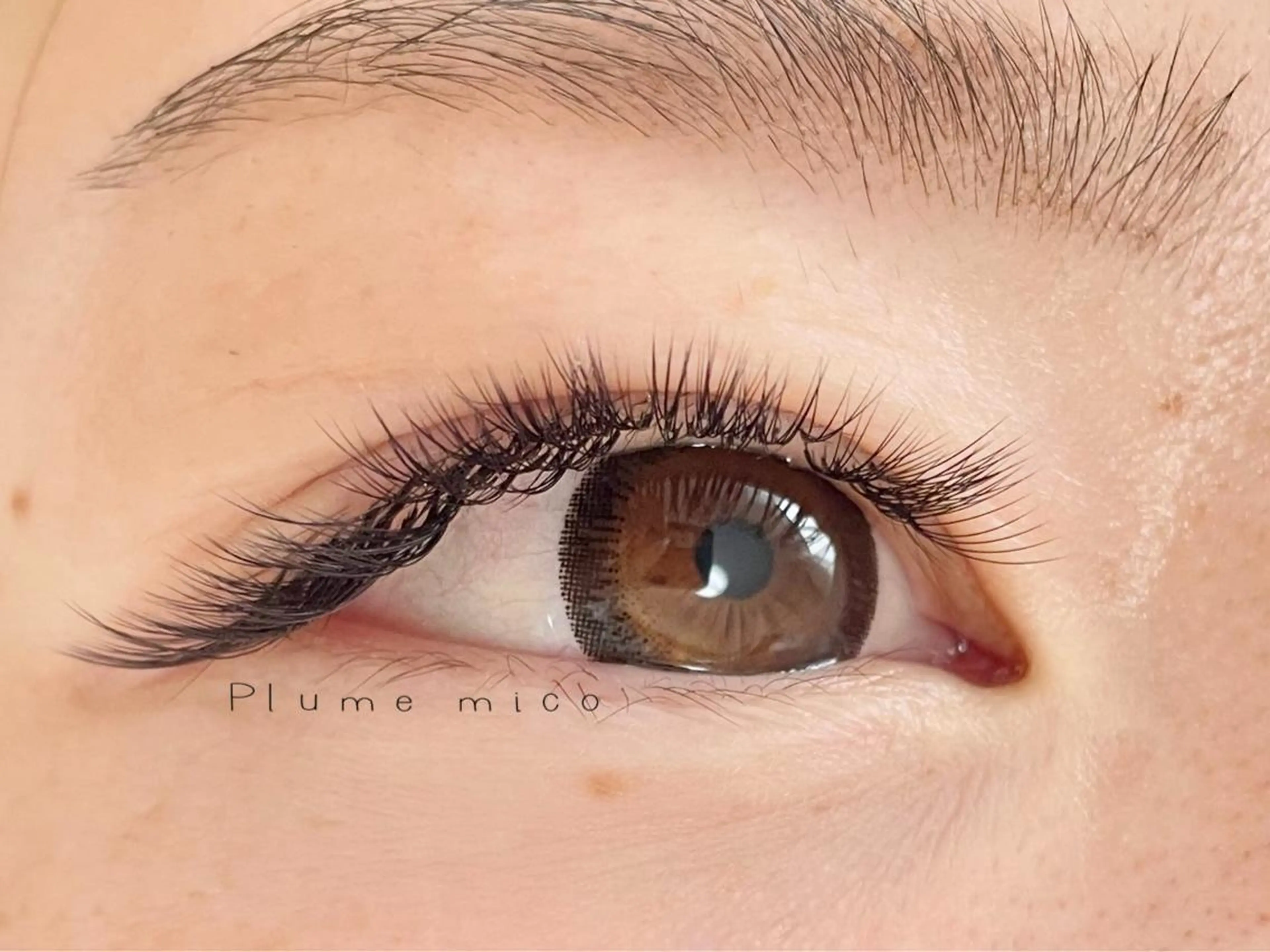 マツエク・マツパ マツエク Plume micoのマツエク・マツパデザイン